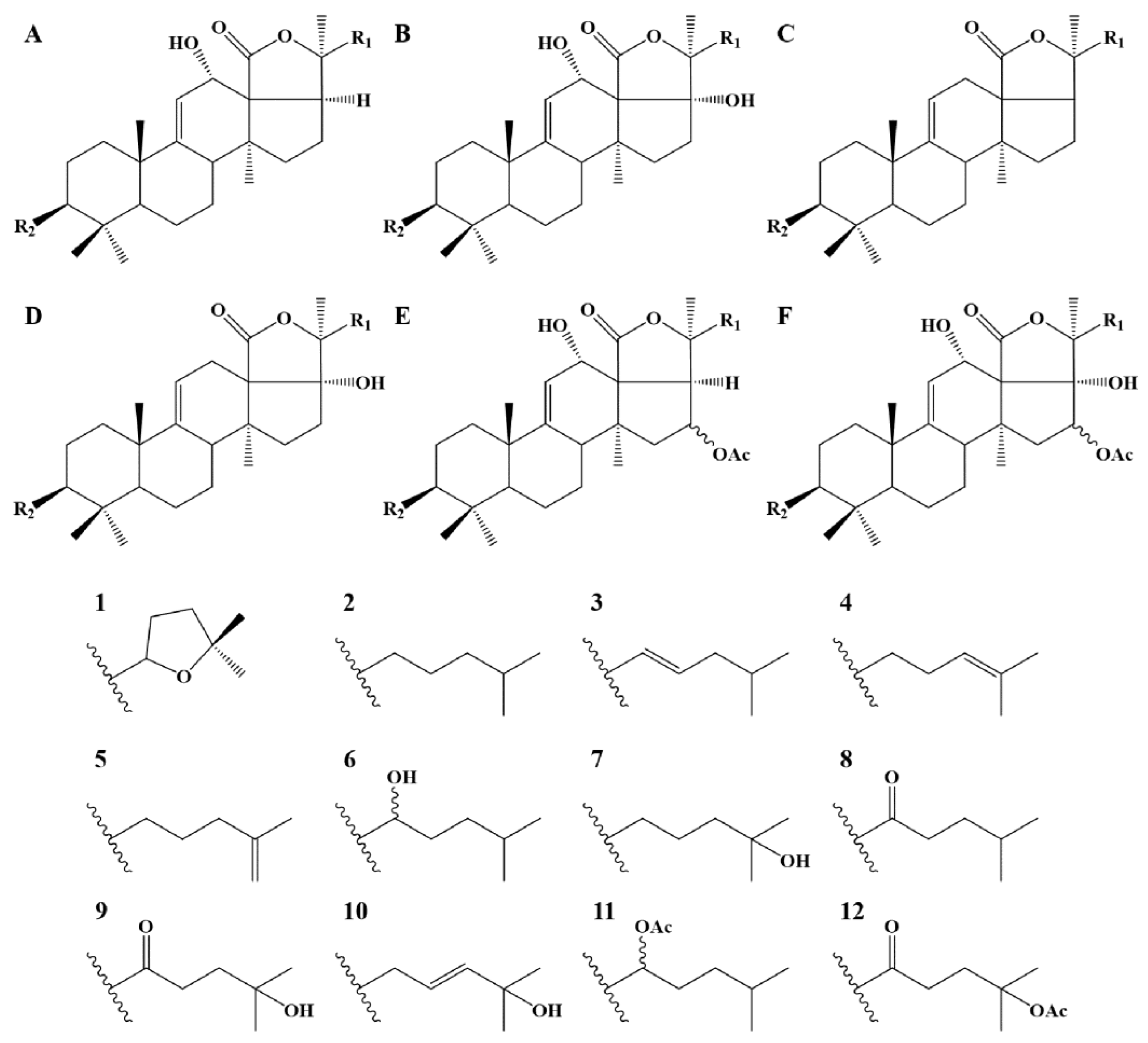 Molecules 29 05346 g003
