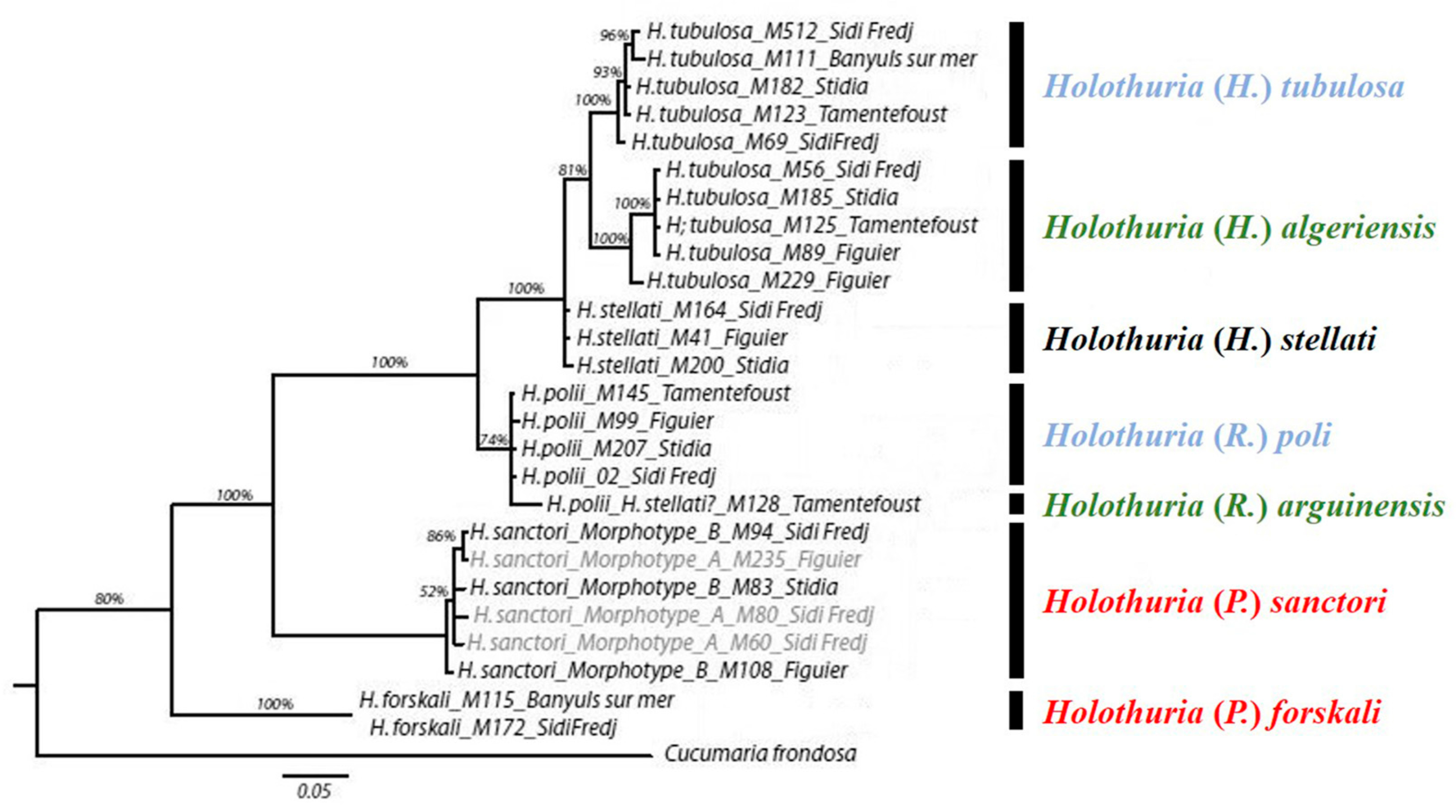 Molecules 29 05346 g006