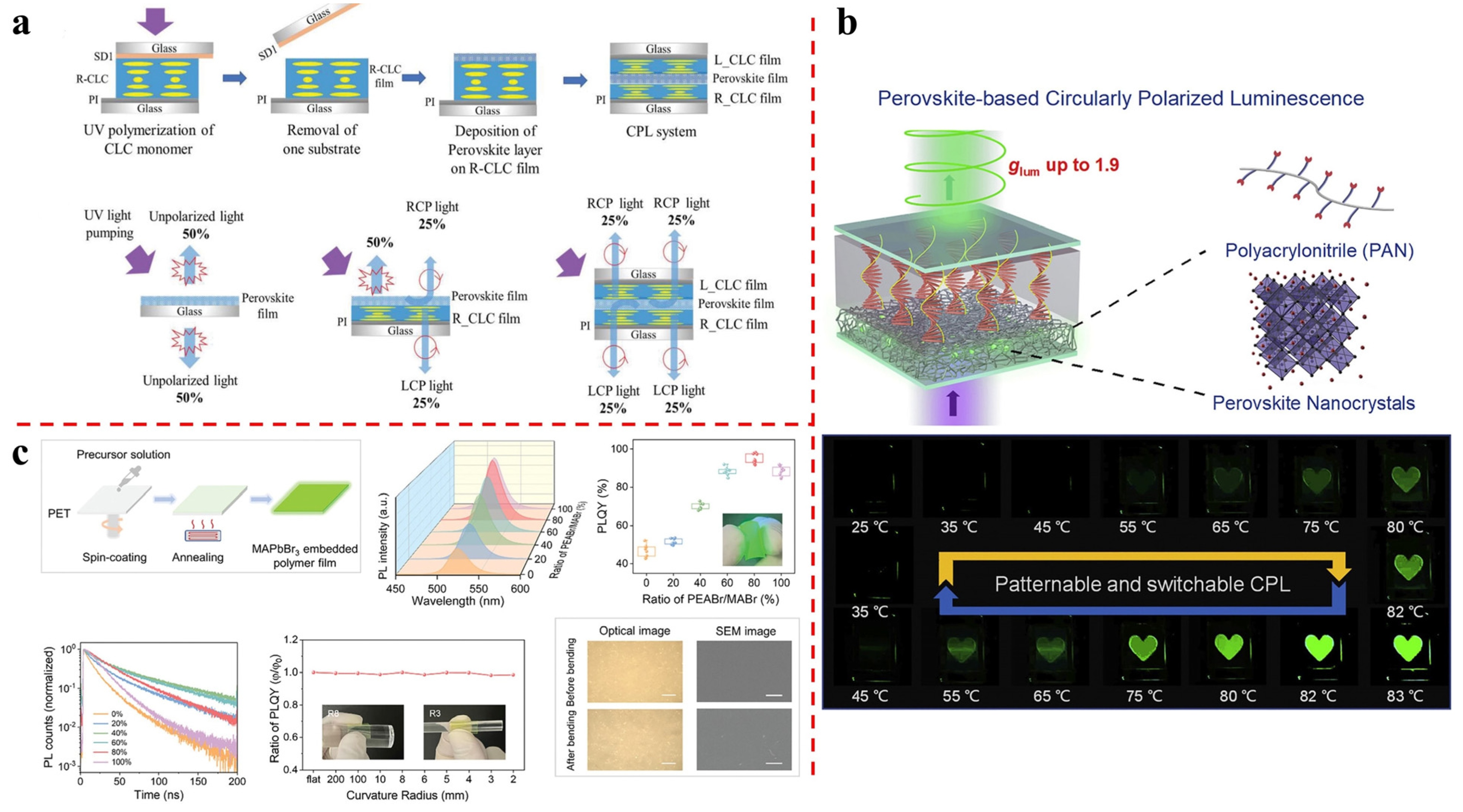 Molecules 29 05347 g001