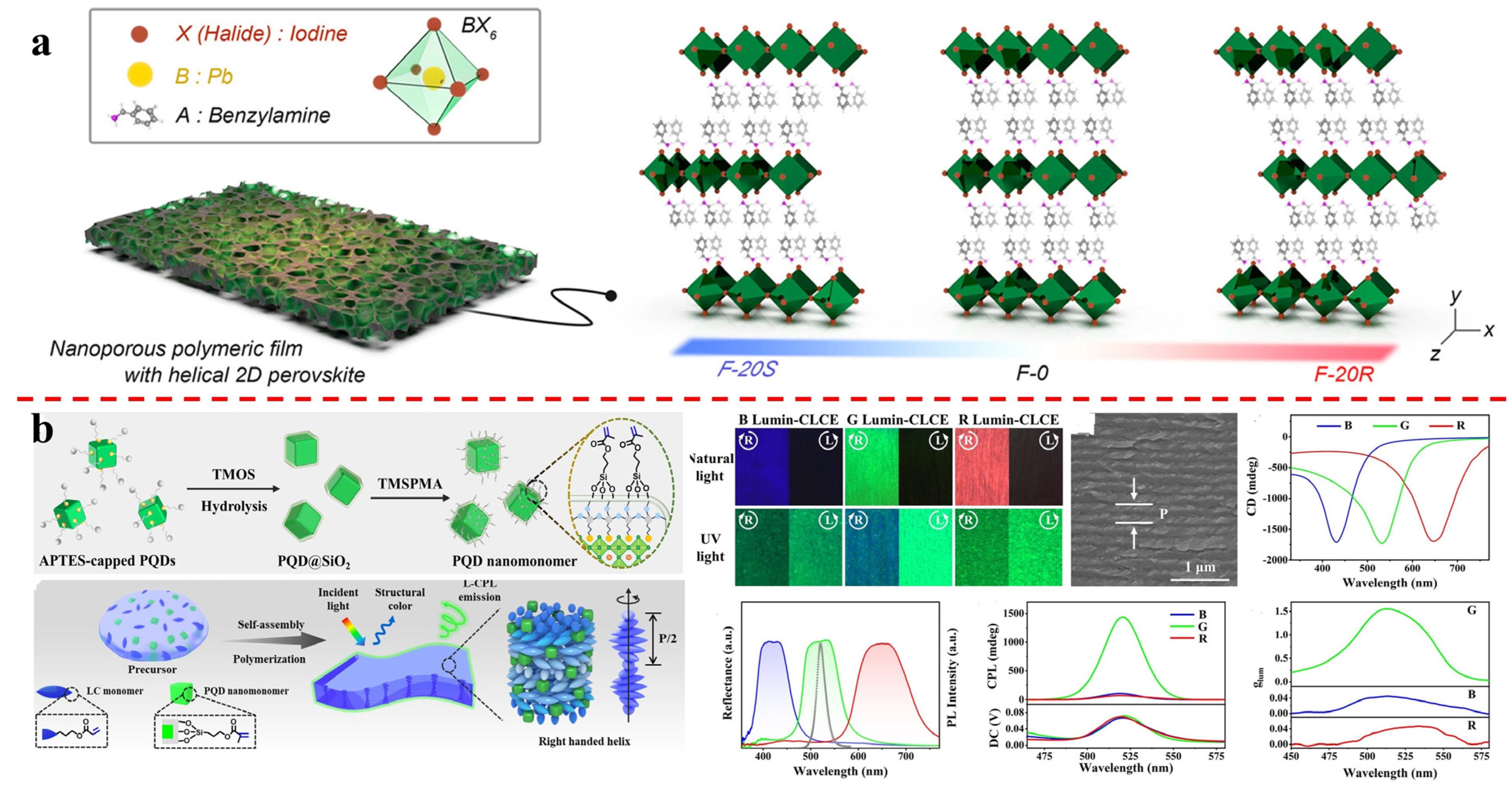 Molecules 29 05347 g002