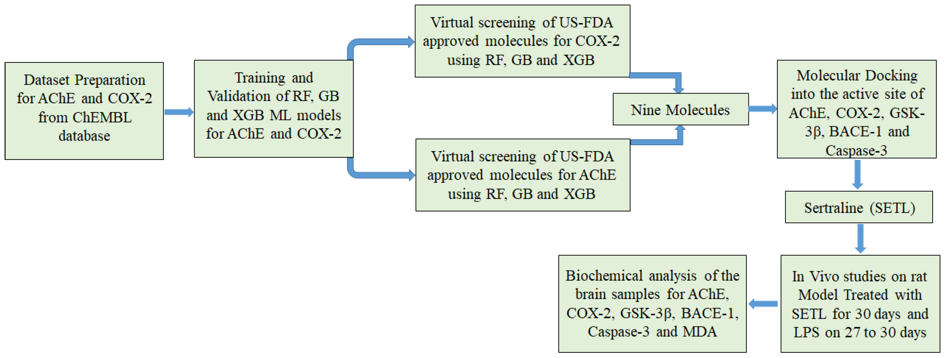 Molecules 29 05354 g001