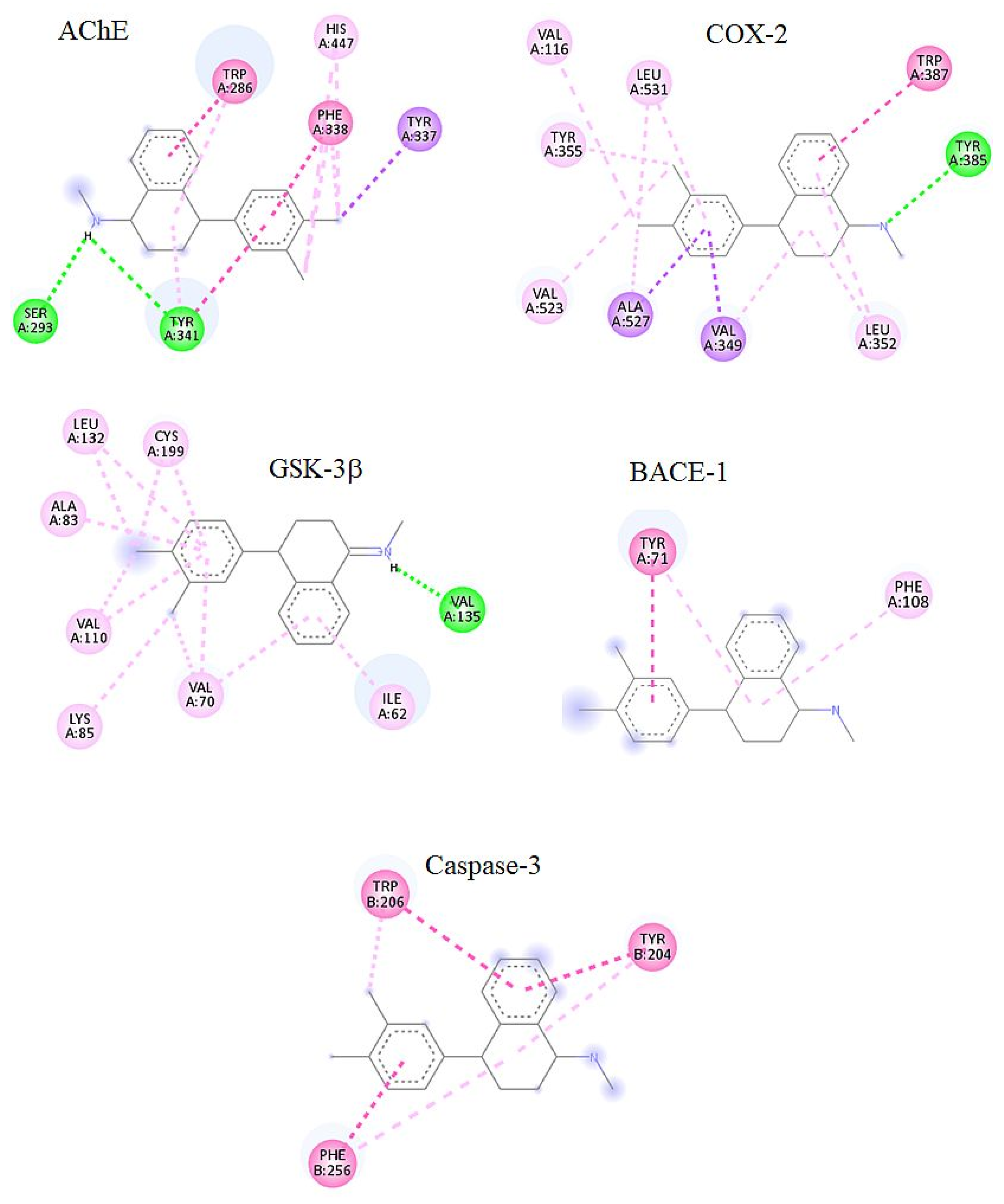 Molecules 29 05354 g003