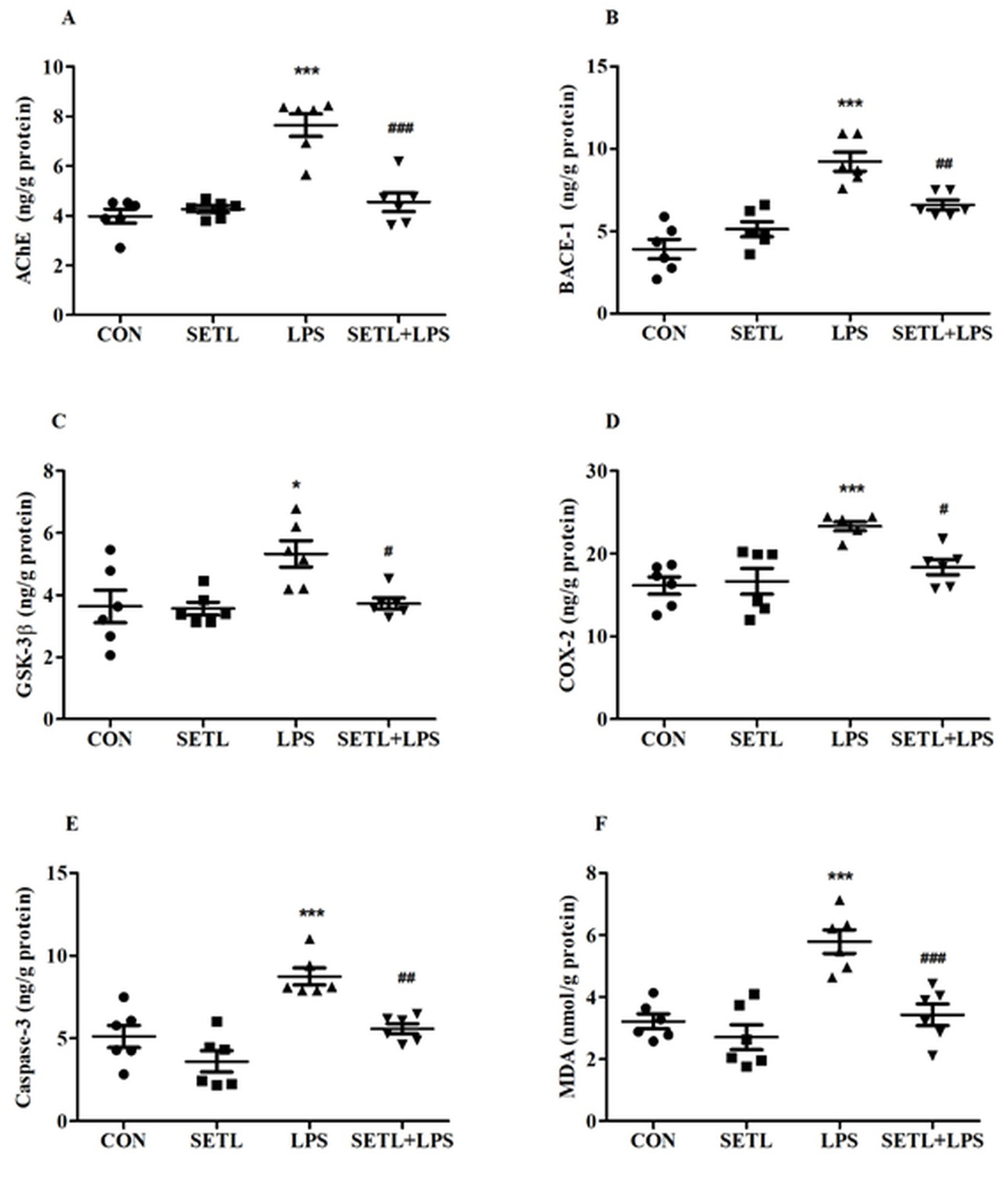 Molecules 29 05354 g004