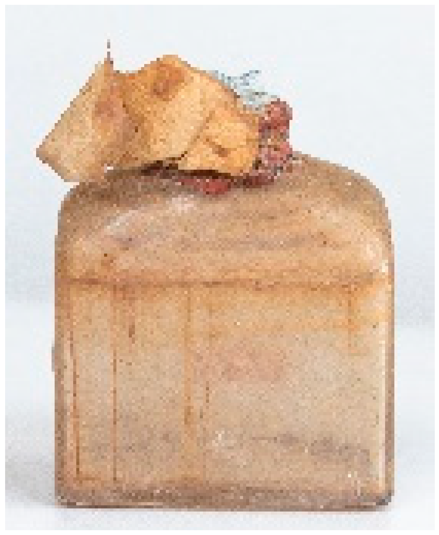 Molecules 29 05356 i007 Molecules 29 05356 i007