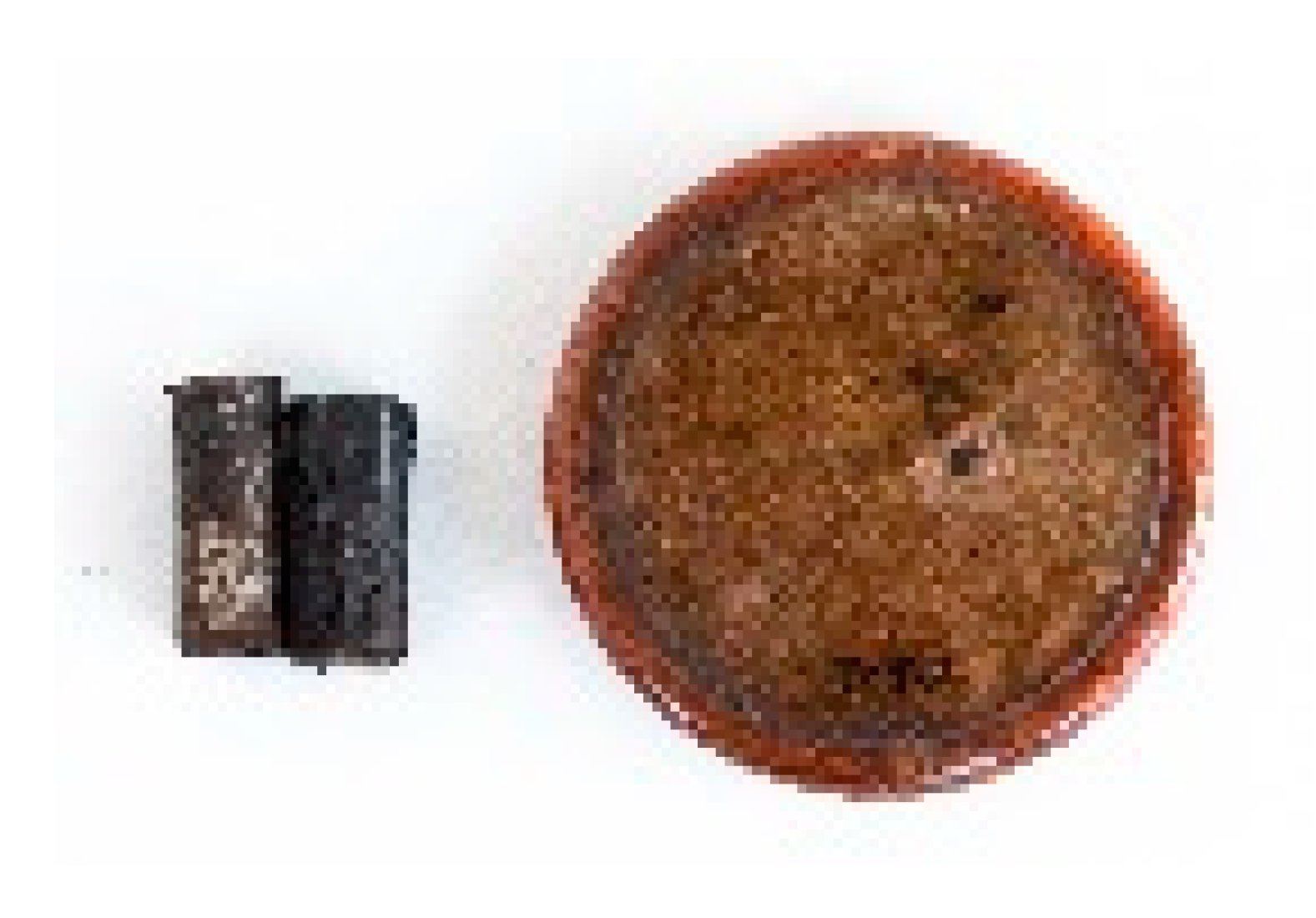 Molecules 29 05356 i011 Molecules 29 05356 i011