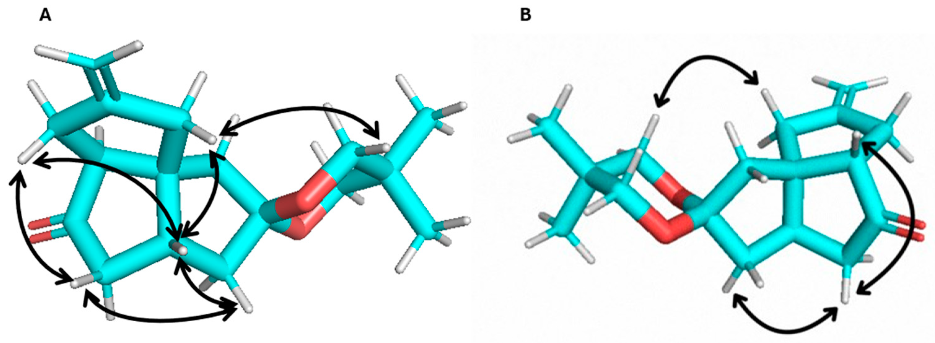 Molecules 29 05358 g002