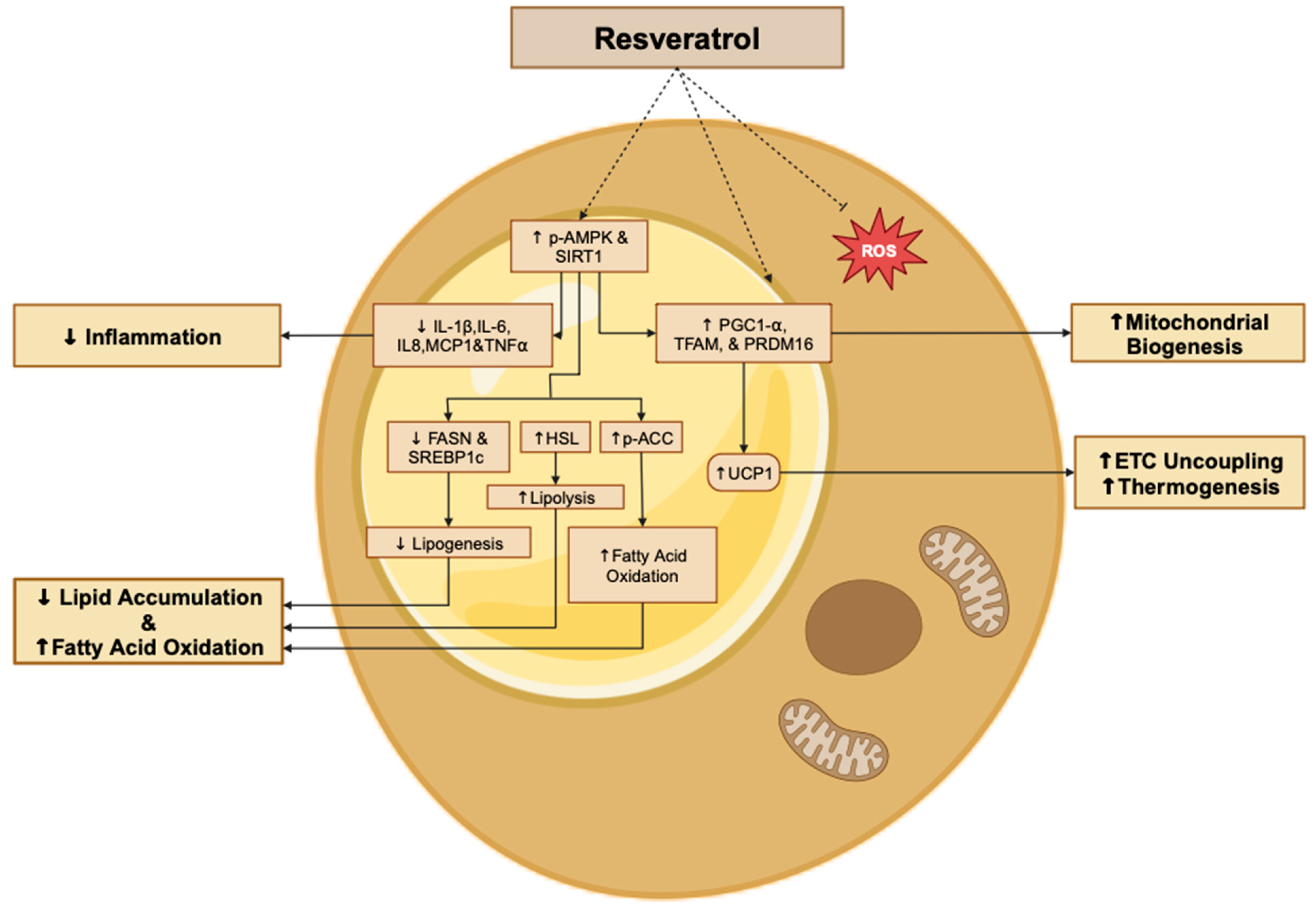 Molecules 29 05359 g002