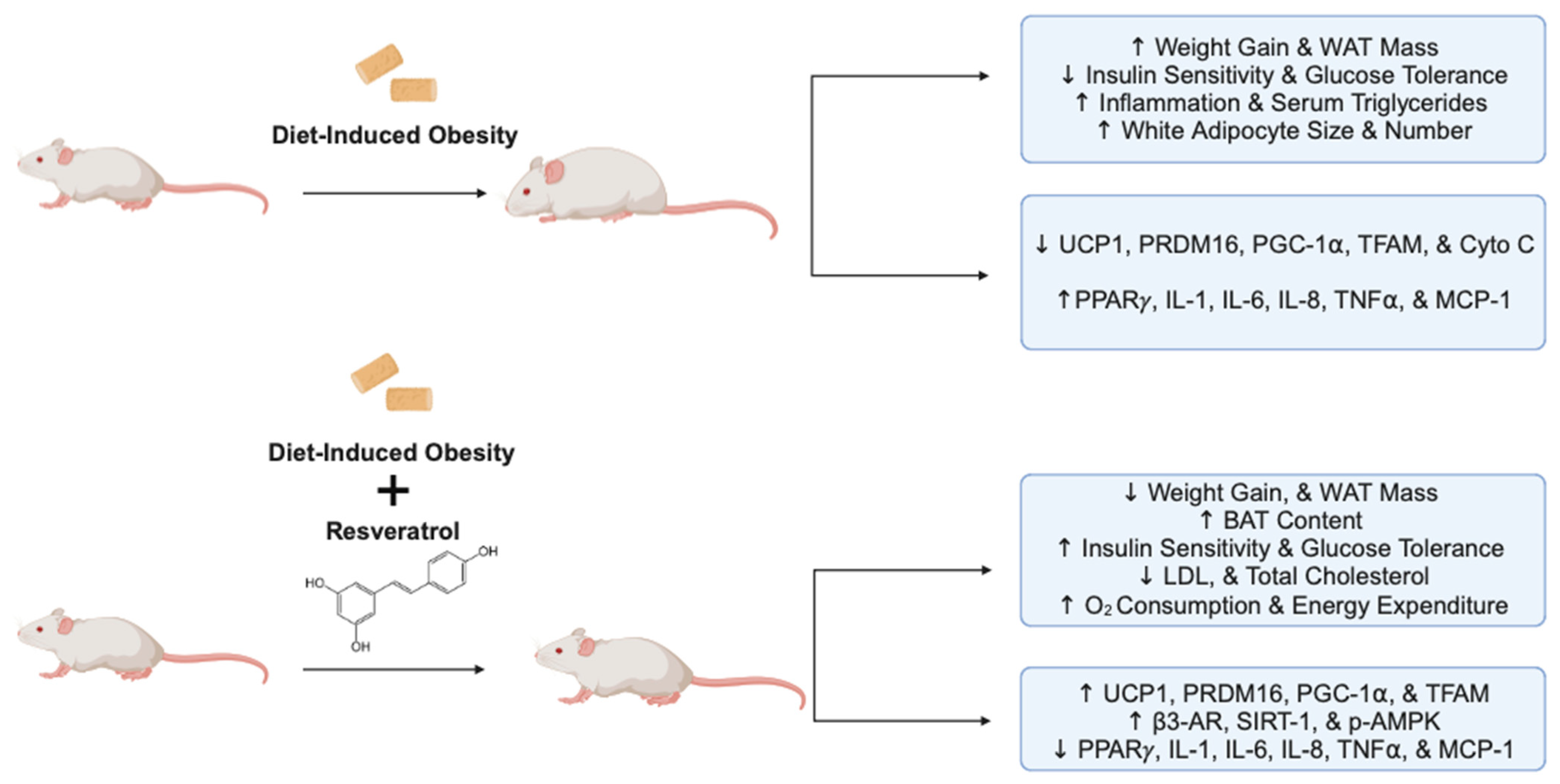 Molecules 29 05359 g003