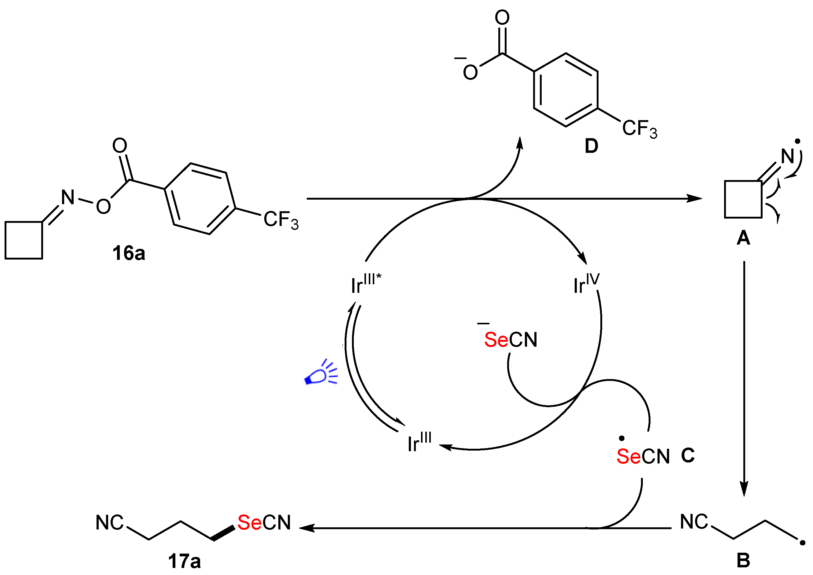 Molecules 29 05365 sch003