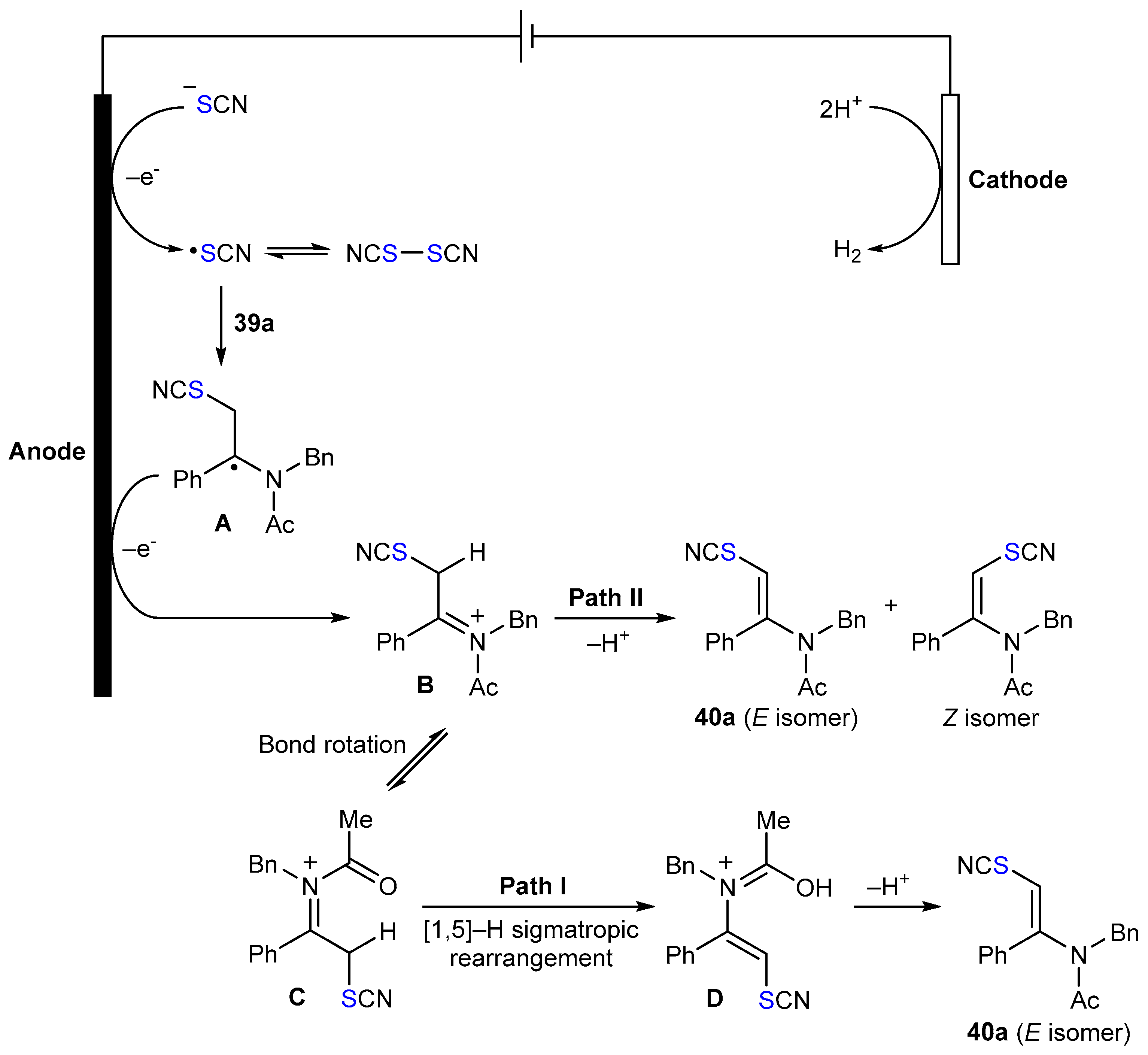 Molecules 29 05365 sch008