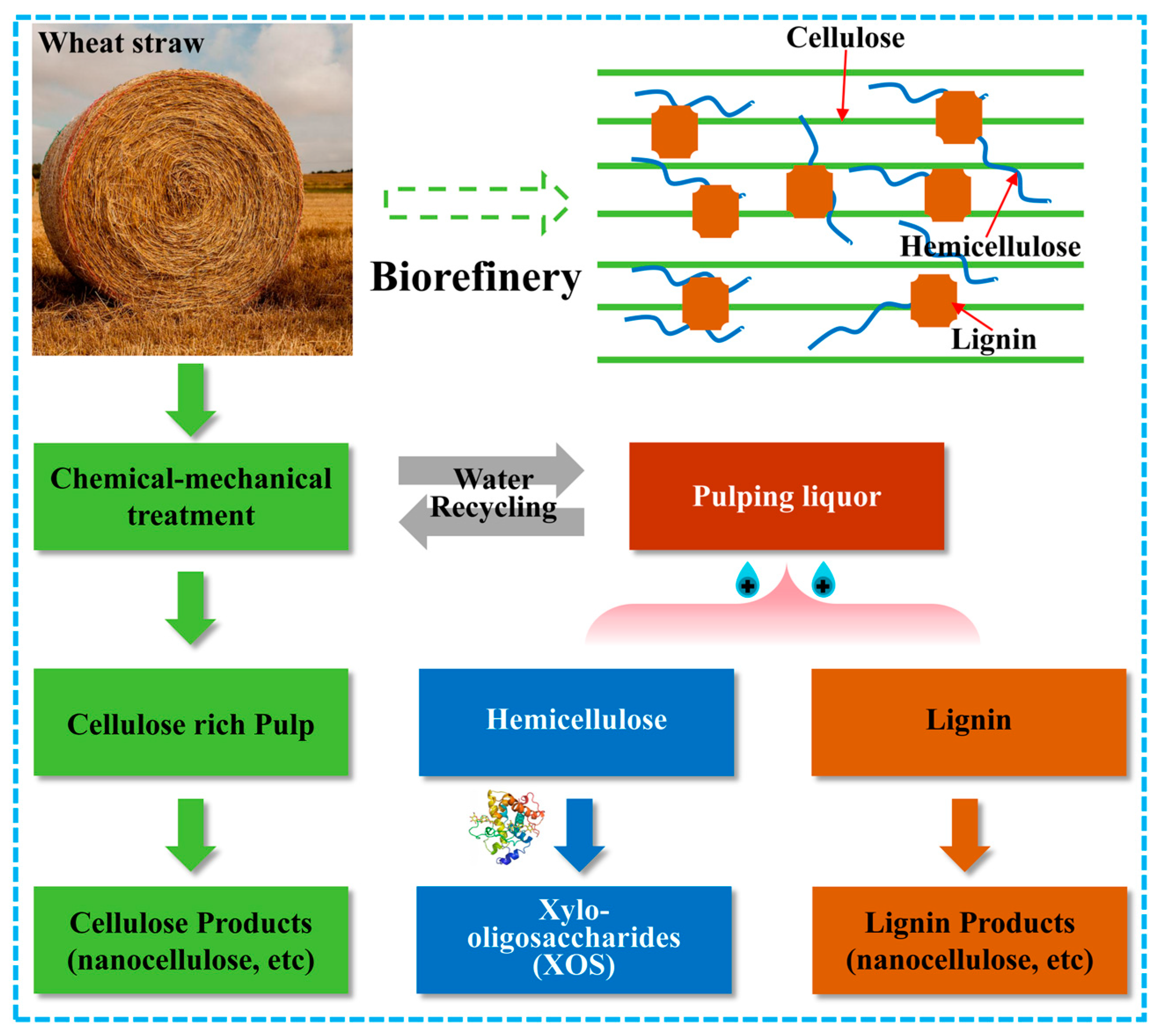 Molecules 29 05368 g001