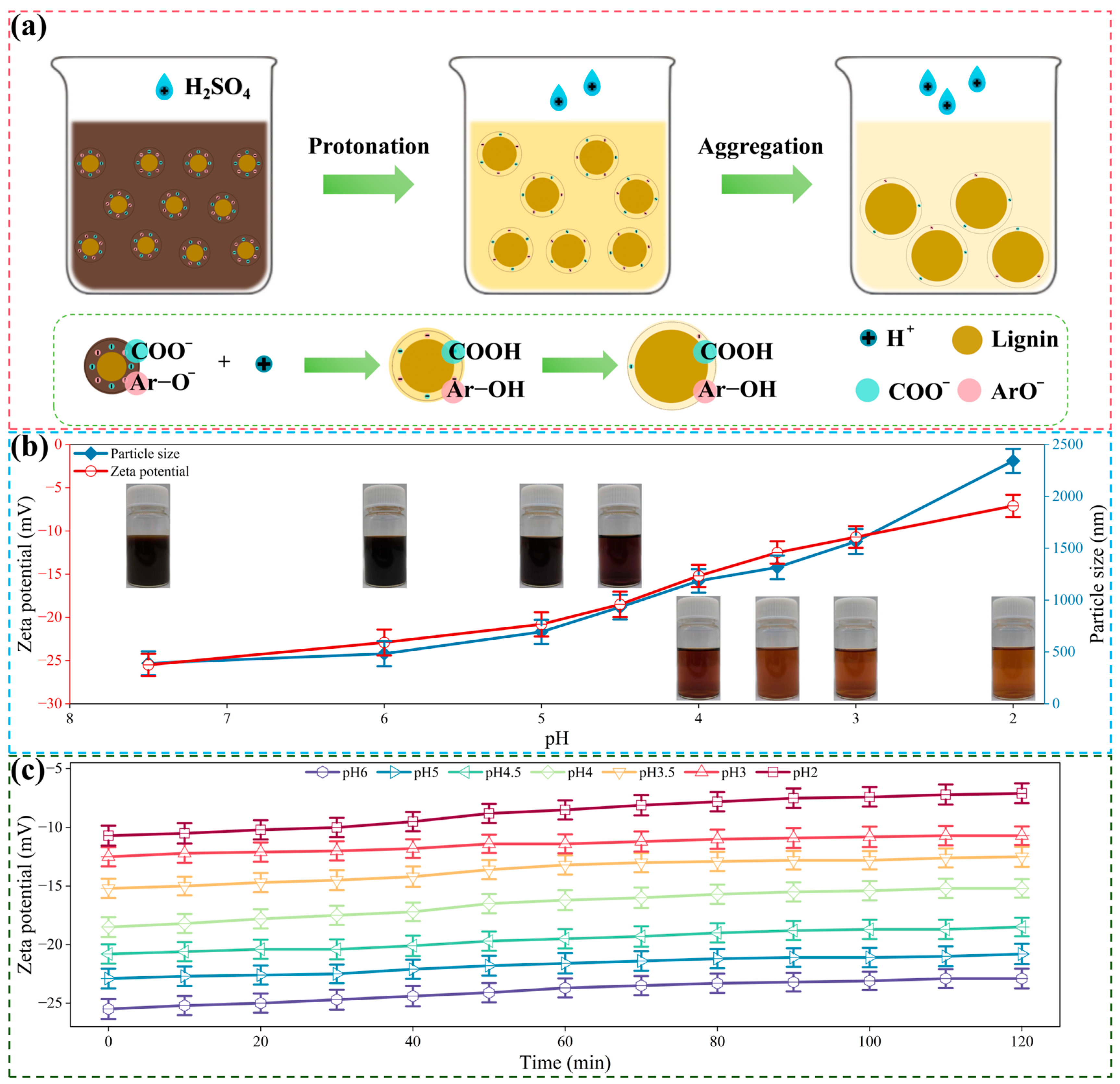 Molecules 29 05368 g002