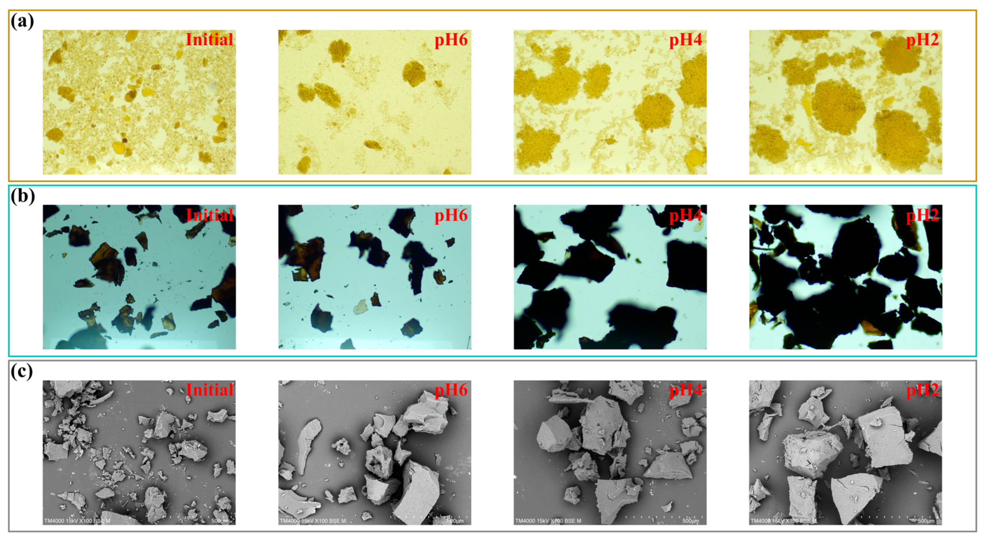 Molecules 29 05368 g003