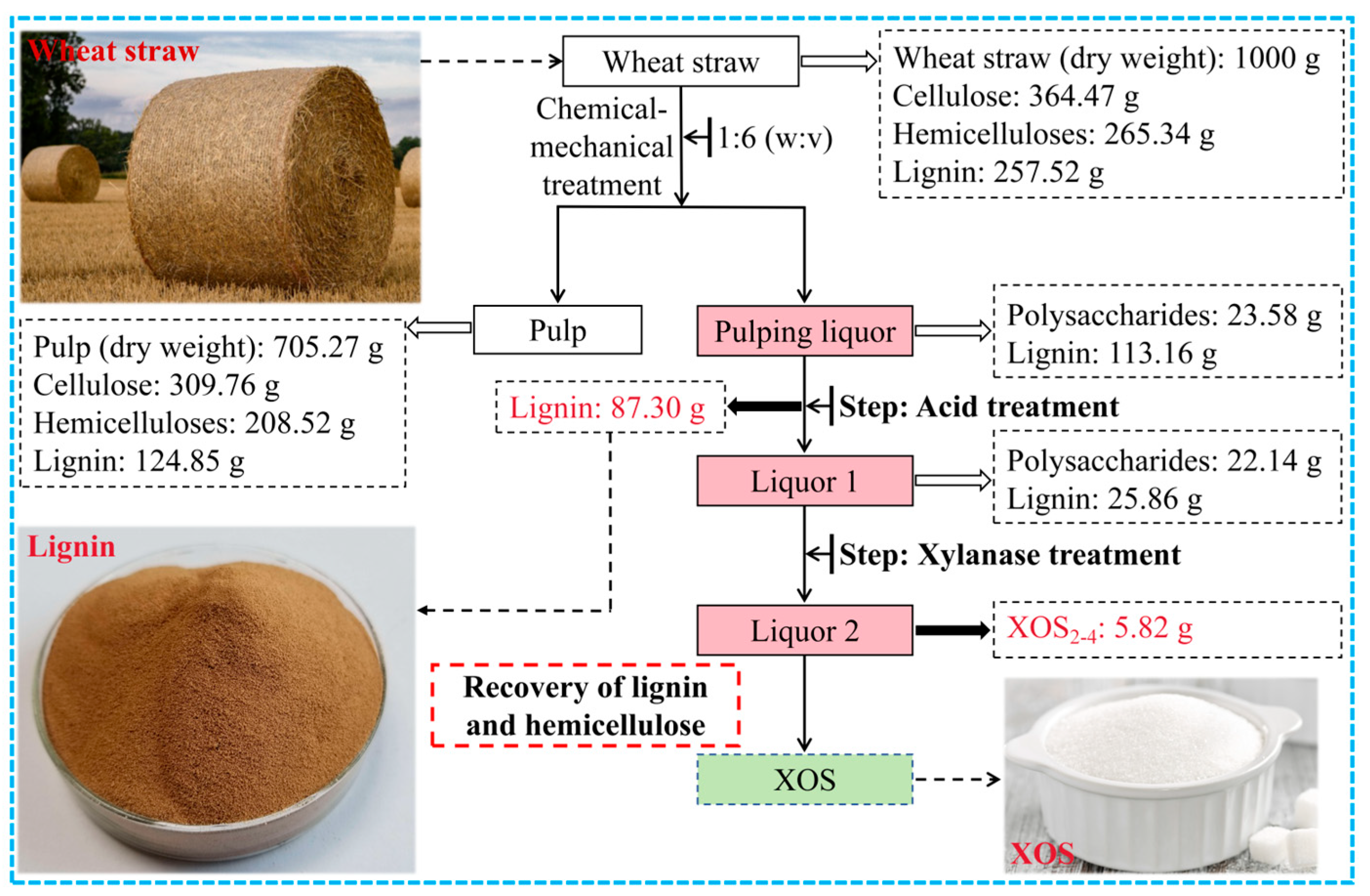 Molecules 29 05368 g008