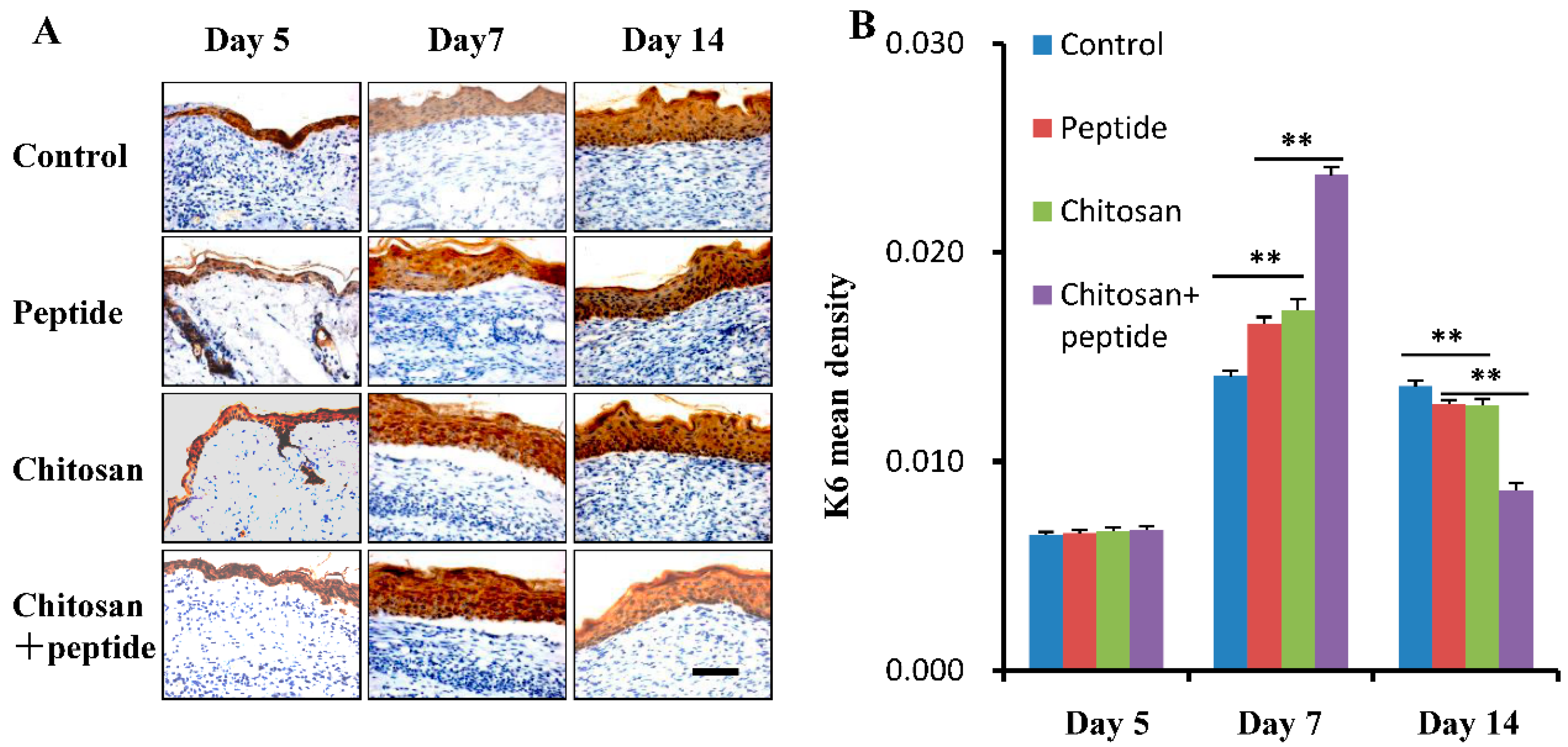 Molecules 29 05374 g003