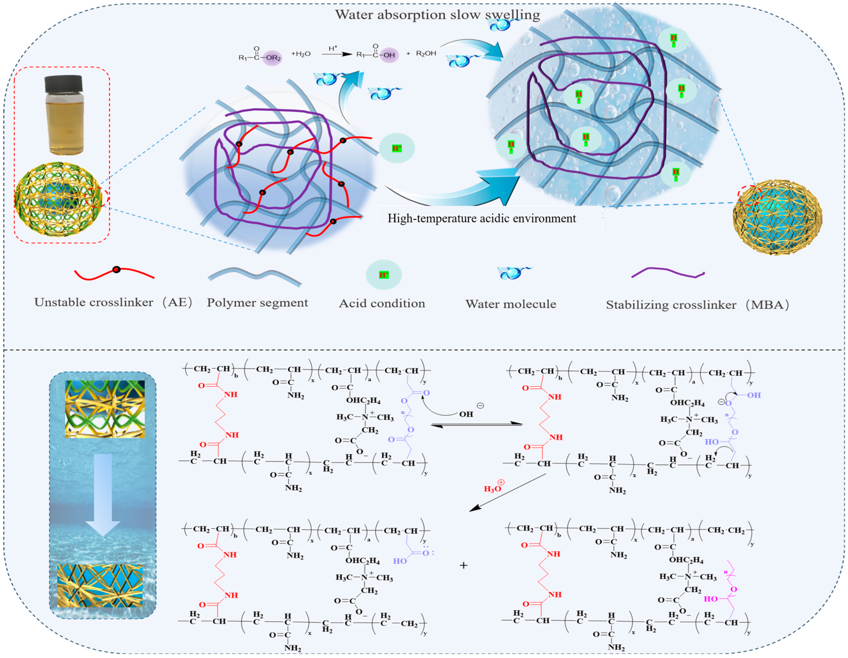 Molecules 29 05378 g005