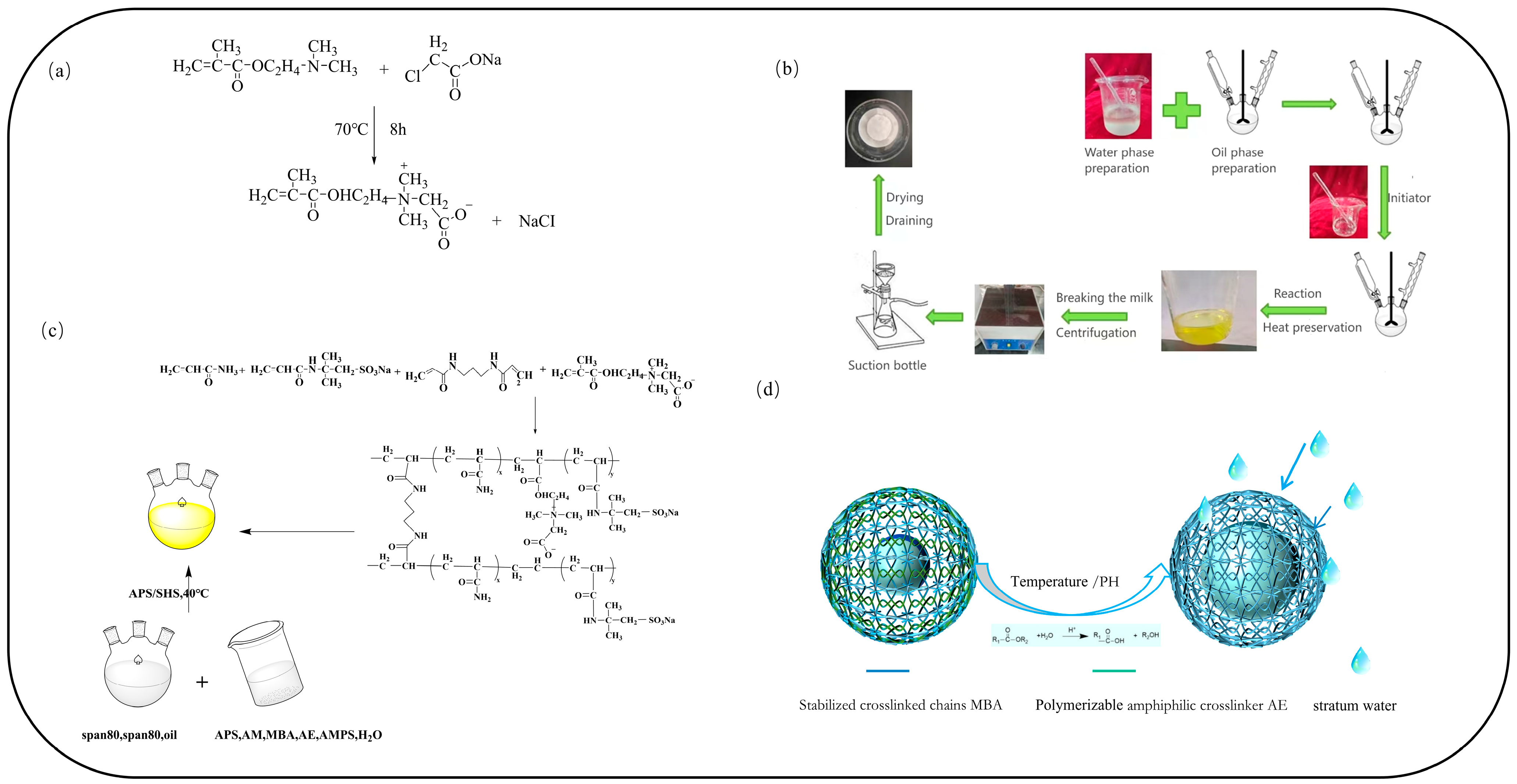 Molecules 29 05378 g007