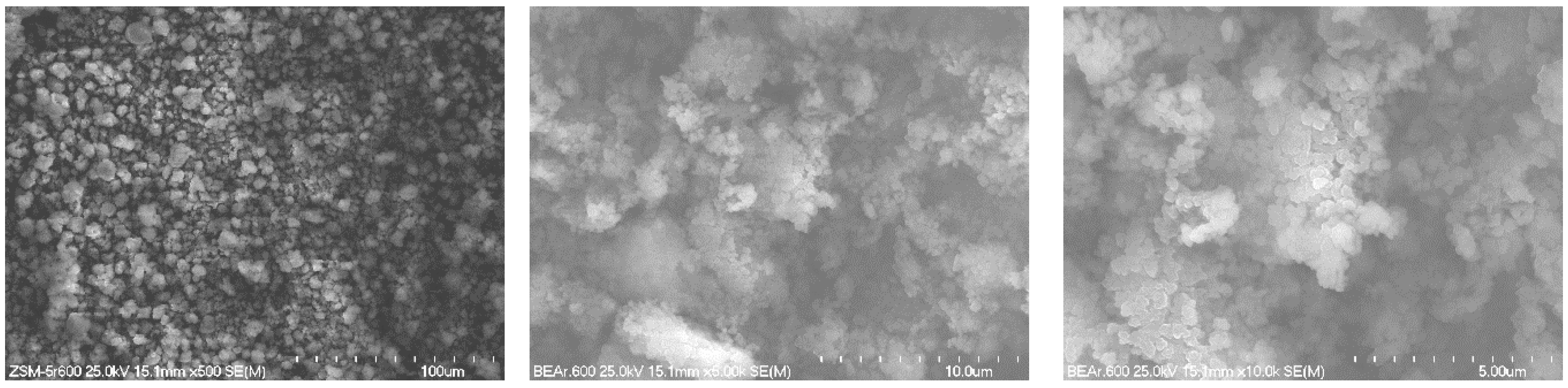 Molecules 29 05380 g001 Molecules 29 05380 g001