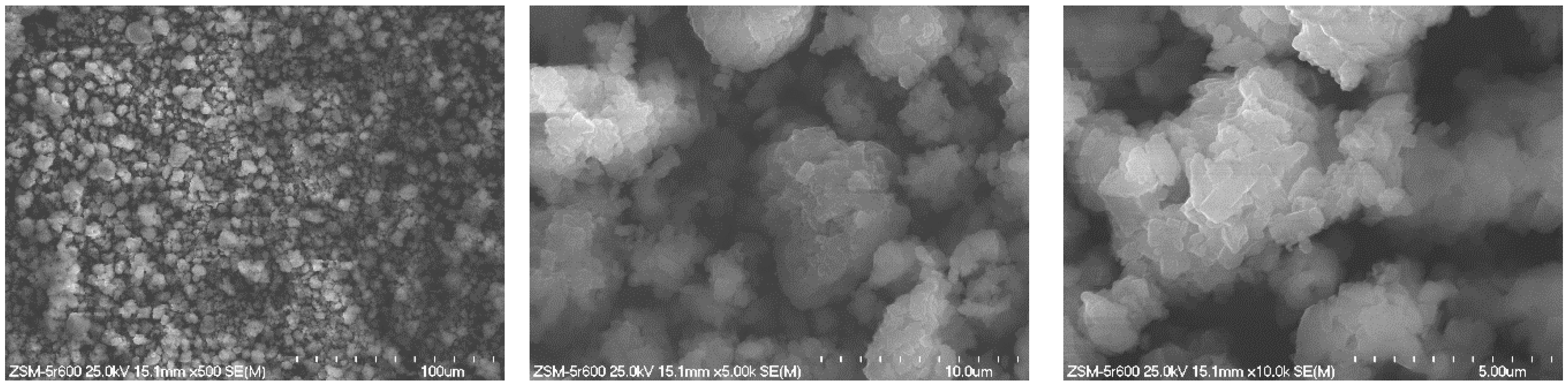 Molecules 29 05380 g002 Molecules 29 05380 g002