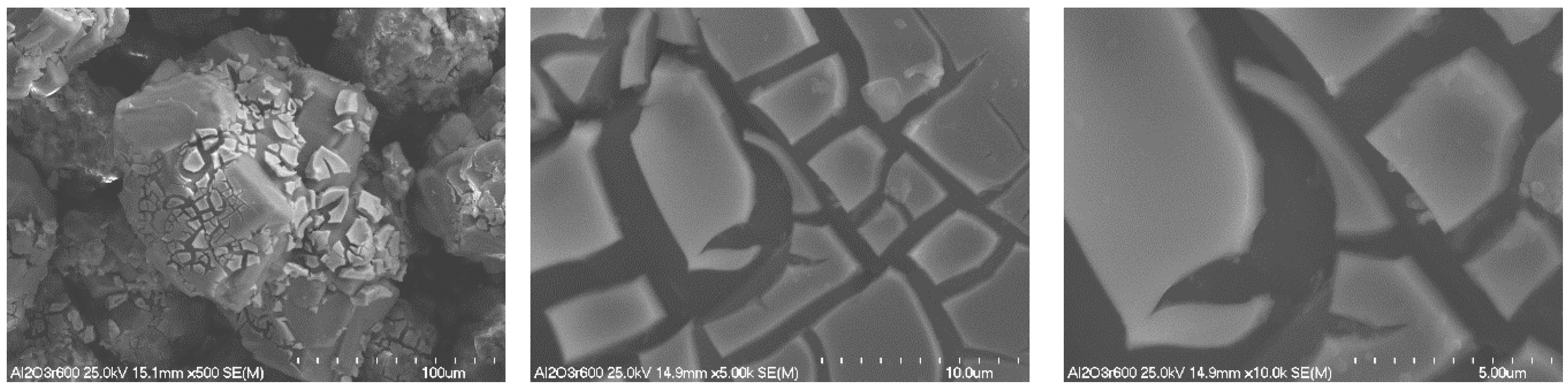 Molecules 29 05380 g003 Molecules 29 05380 g003