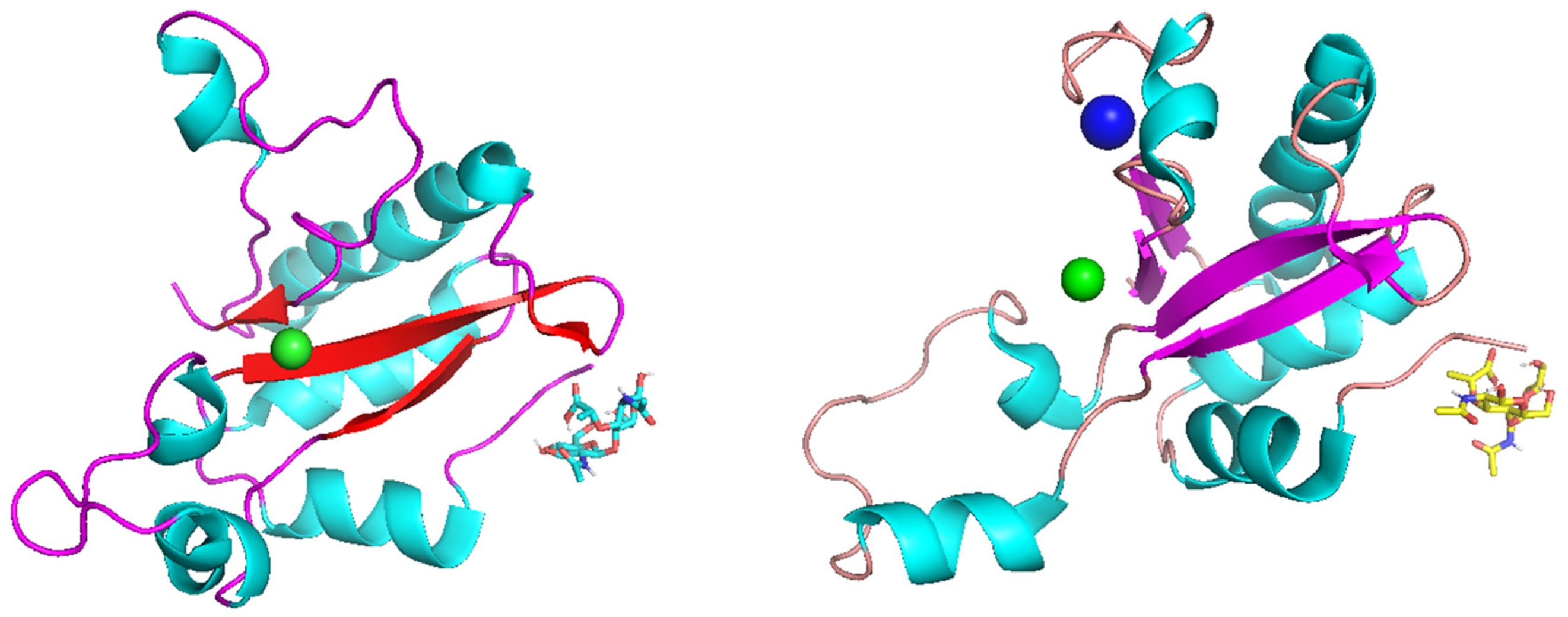 Molecules 29 05386 g001