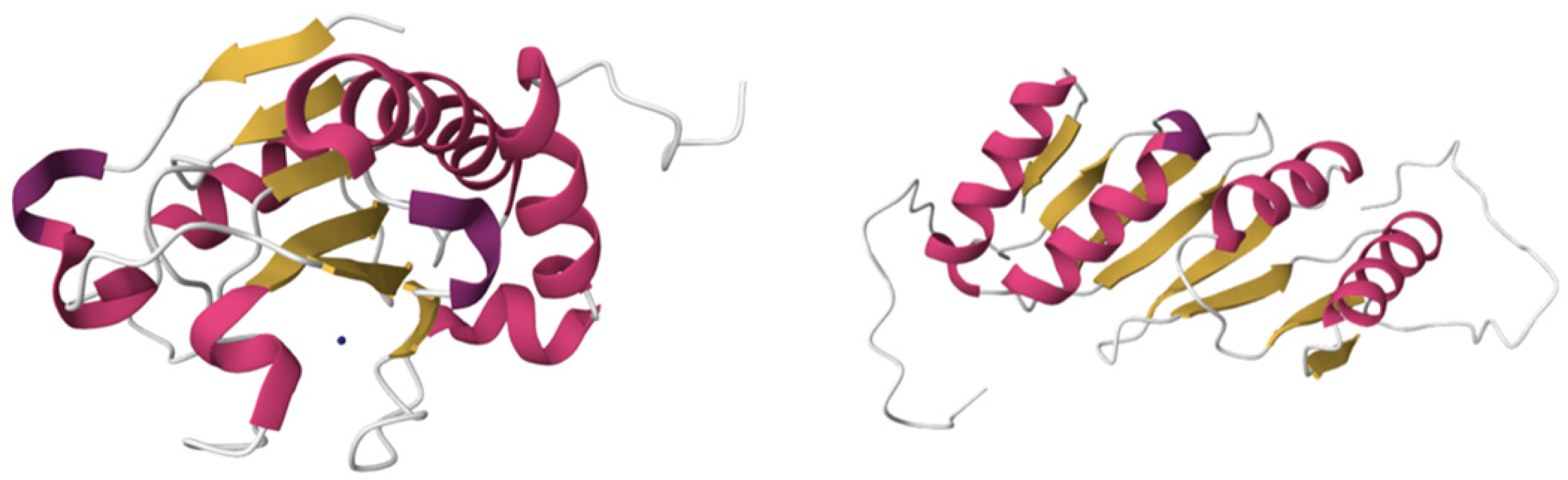 Molecules 29 05386 g006