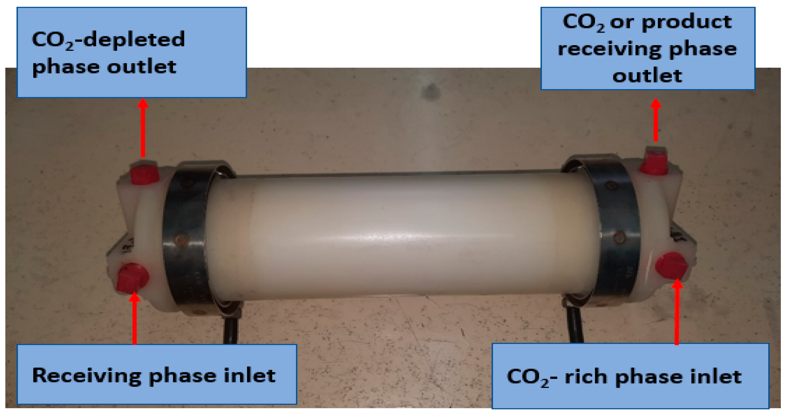 Molecules 29 05388 g001
