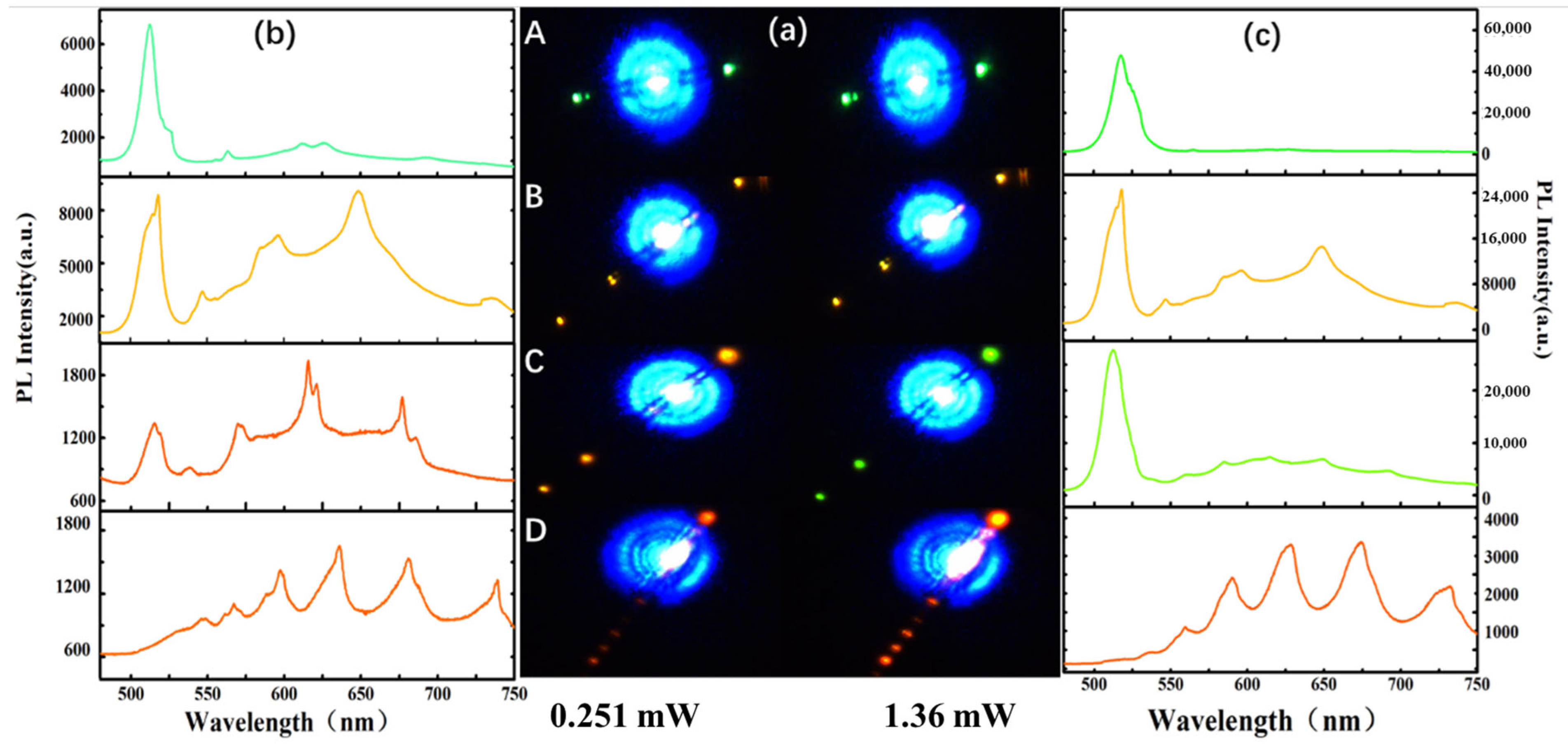 Molecules 29 05389 g003 Molecules 29 05389 g003