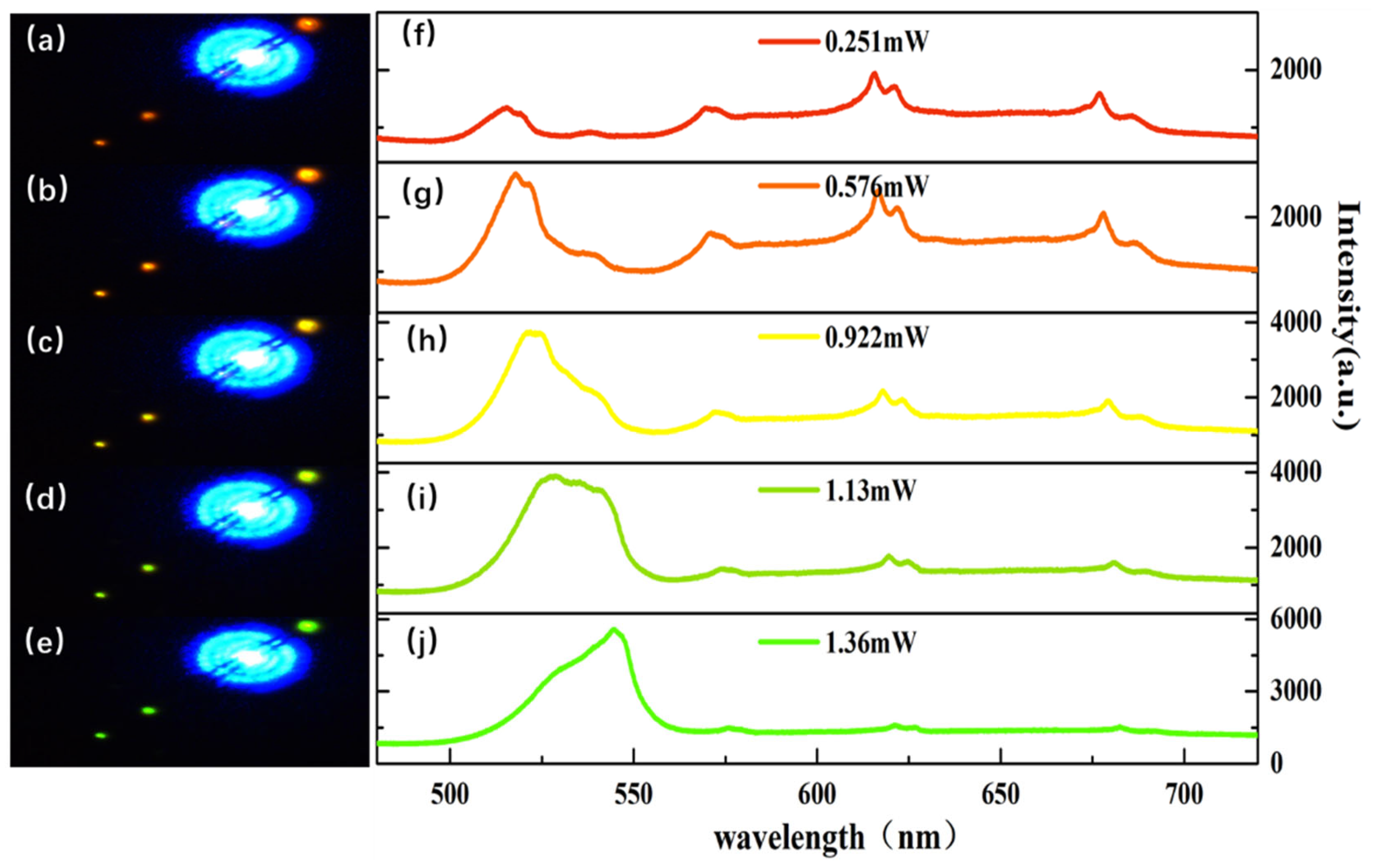 Molecules 29 05389 g004 Molecules 29 05389 g004