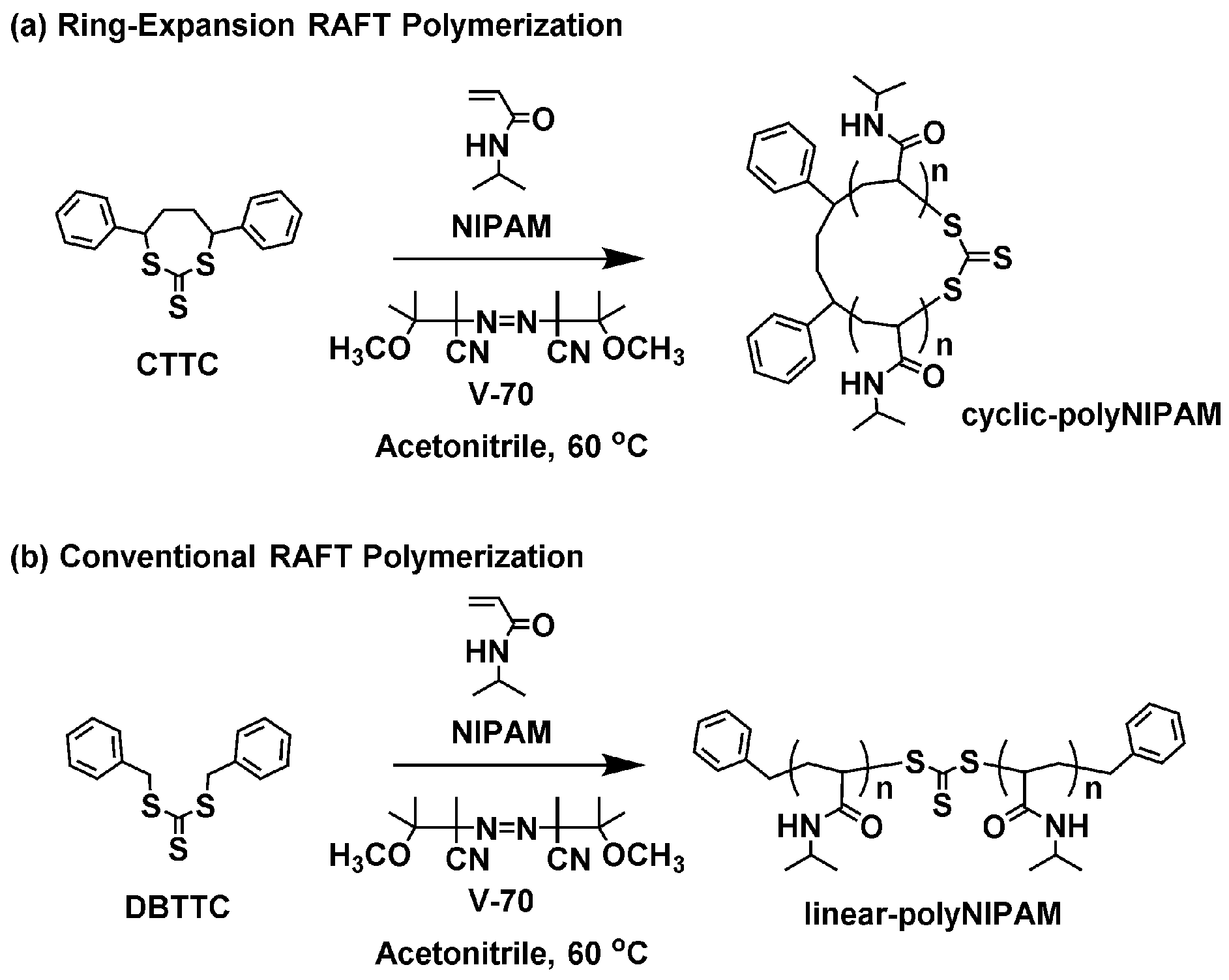 Molecules 29 05392 sch001 Molecules 29 05392 sch001