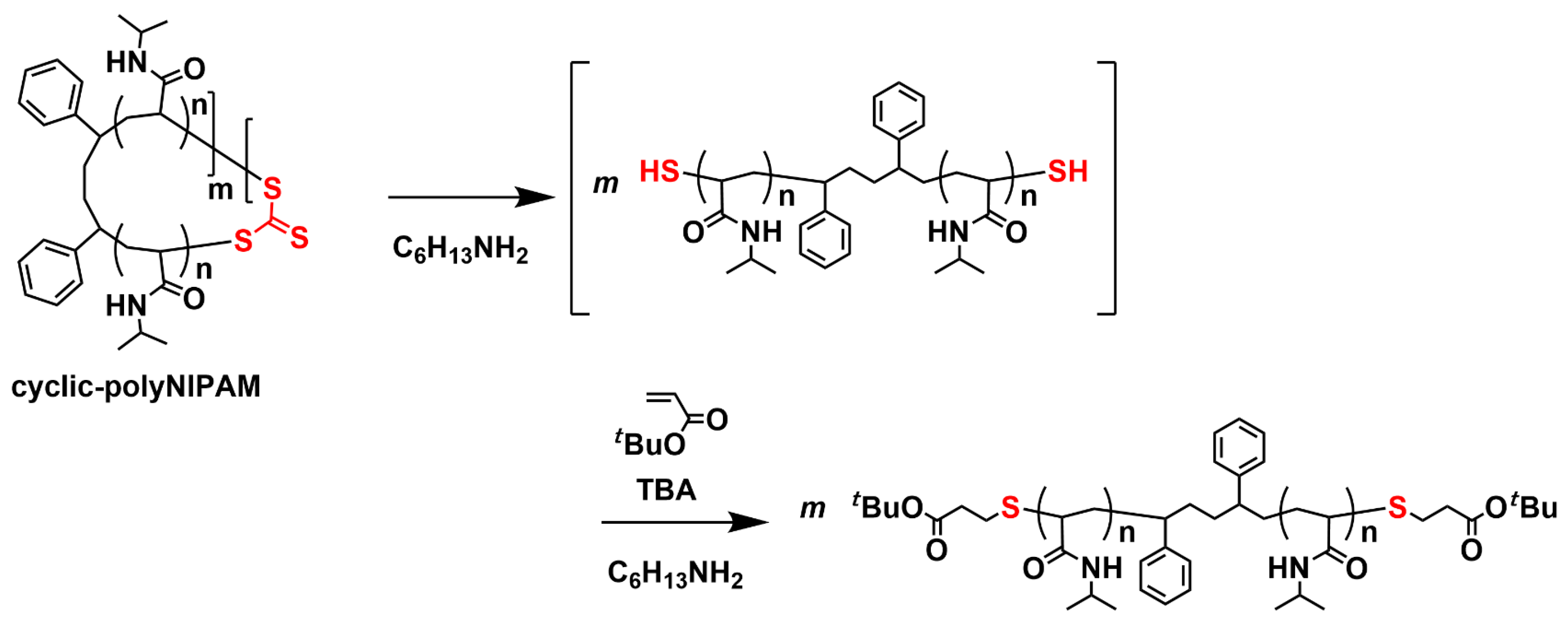 Molecules 29 05392 sch003 Molecules 29 05392 sch003