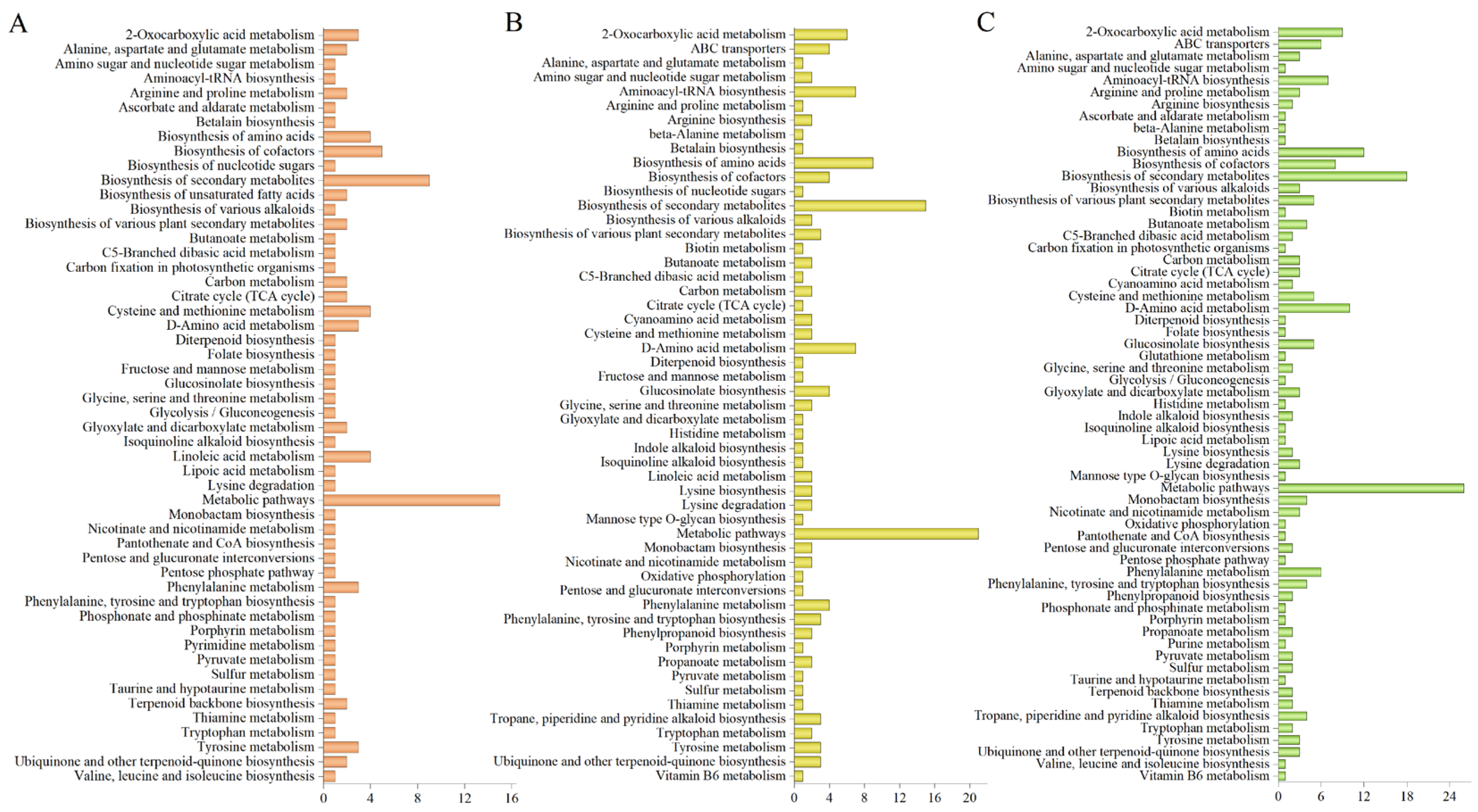 Molecules 29 05395 g003