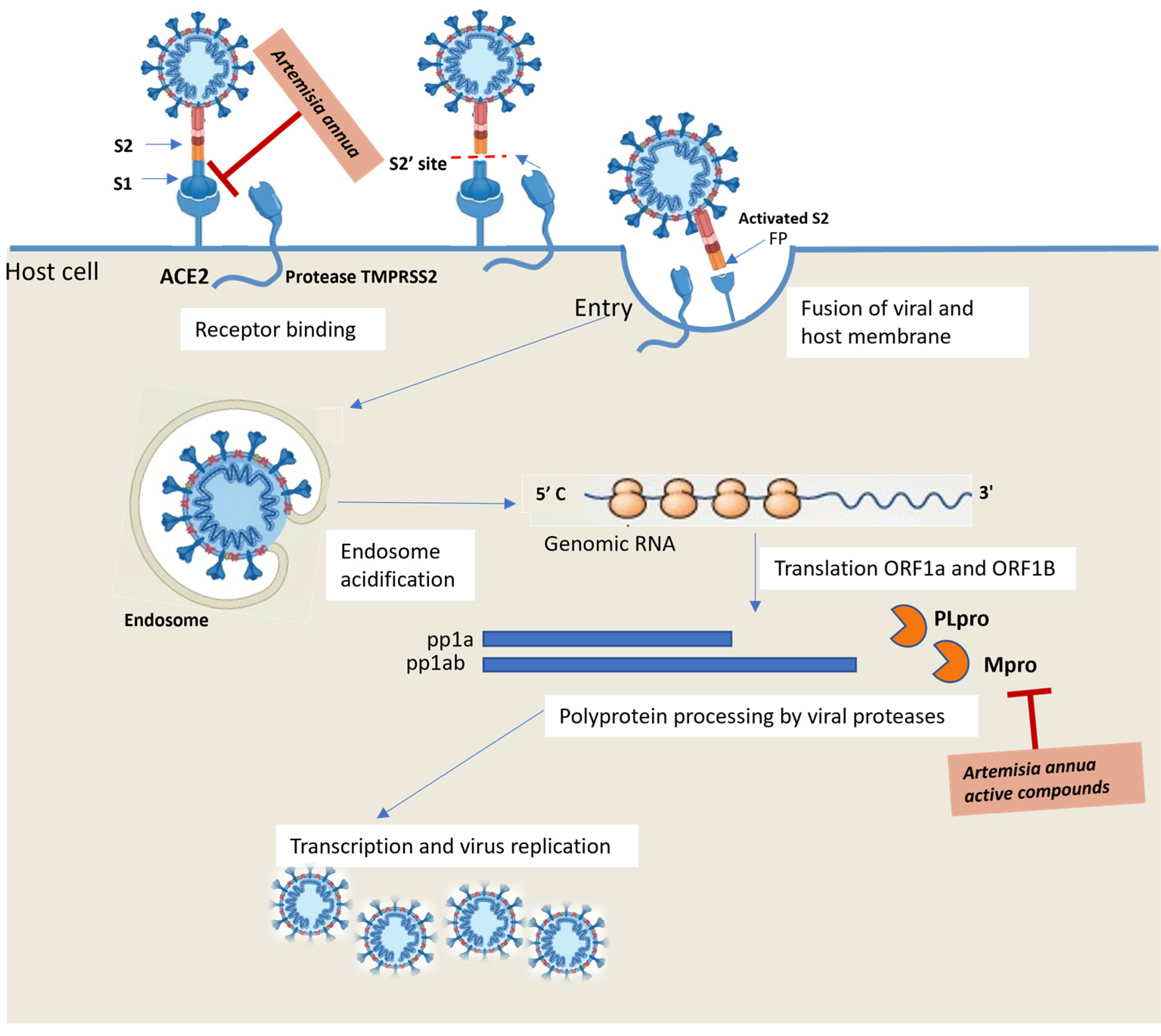 Molecules 29 05403 g003