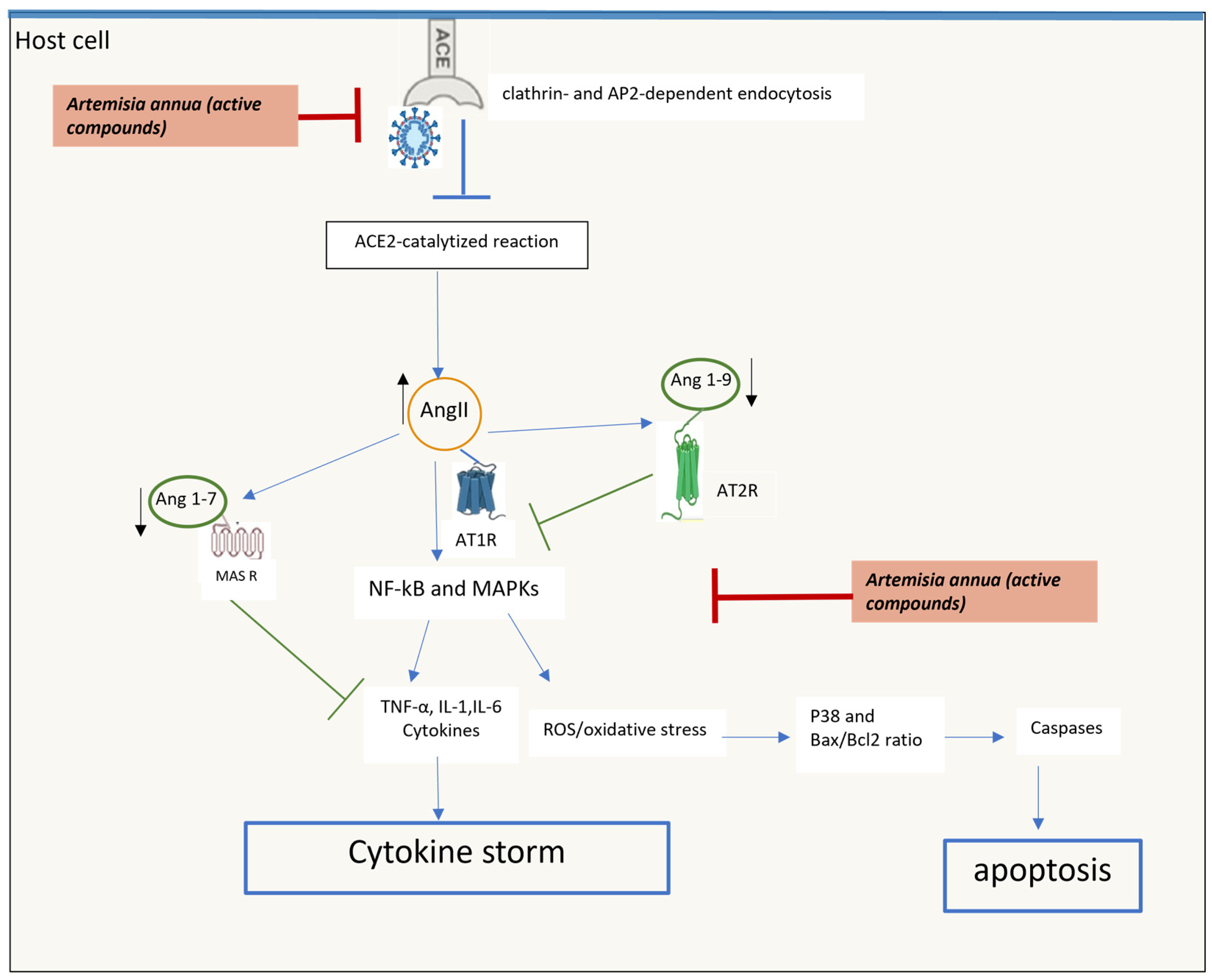 Molecules 29 05403 g004