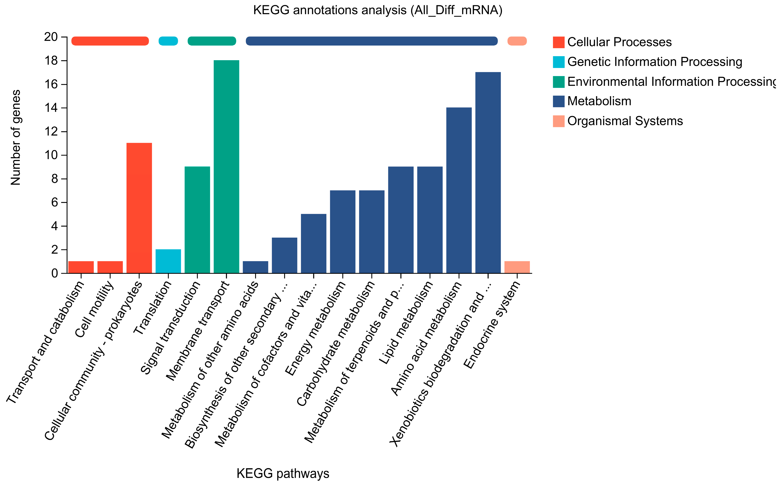 Molecules 29 05405 g004