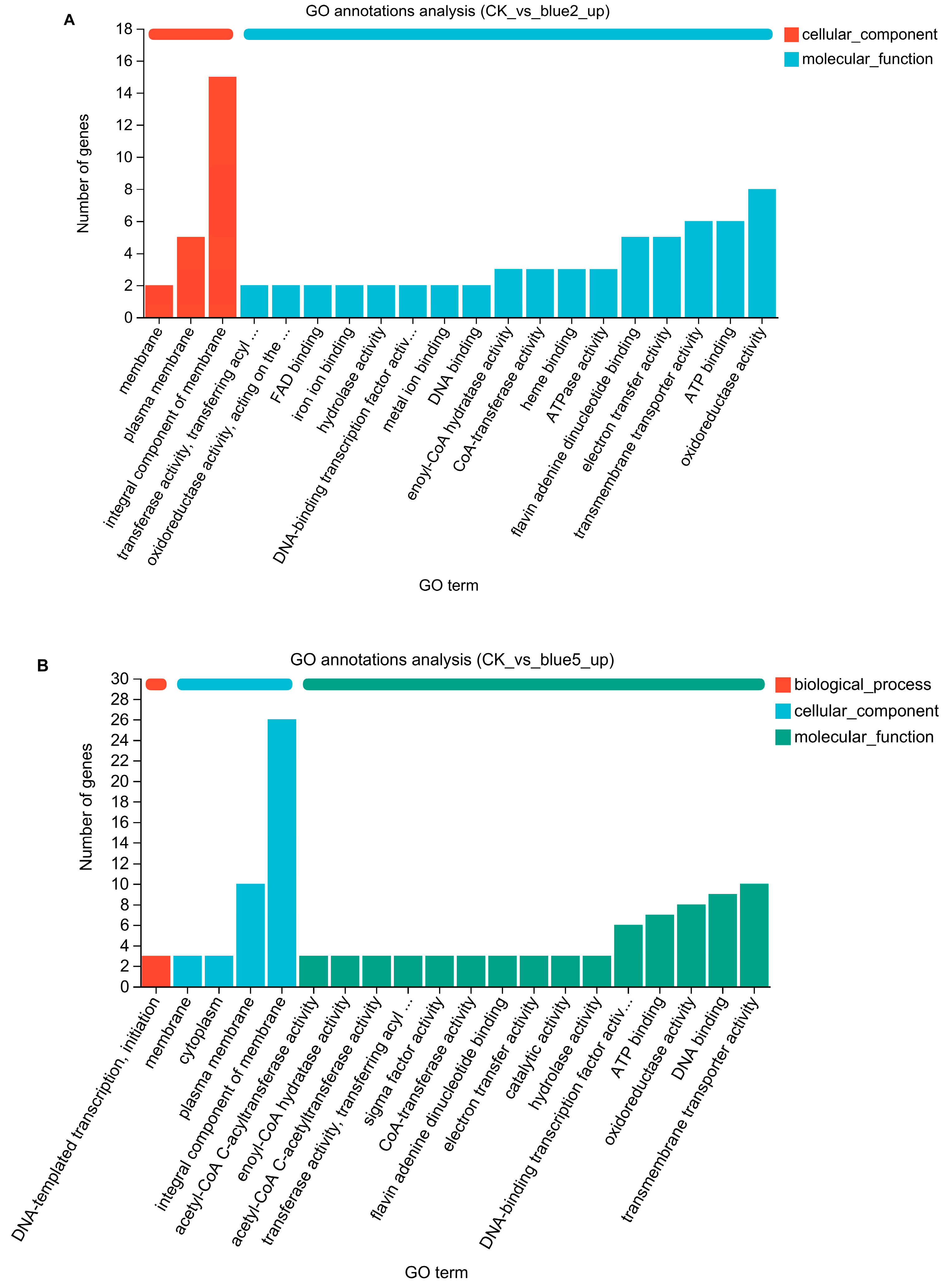 Molecules 29 05405 g005