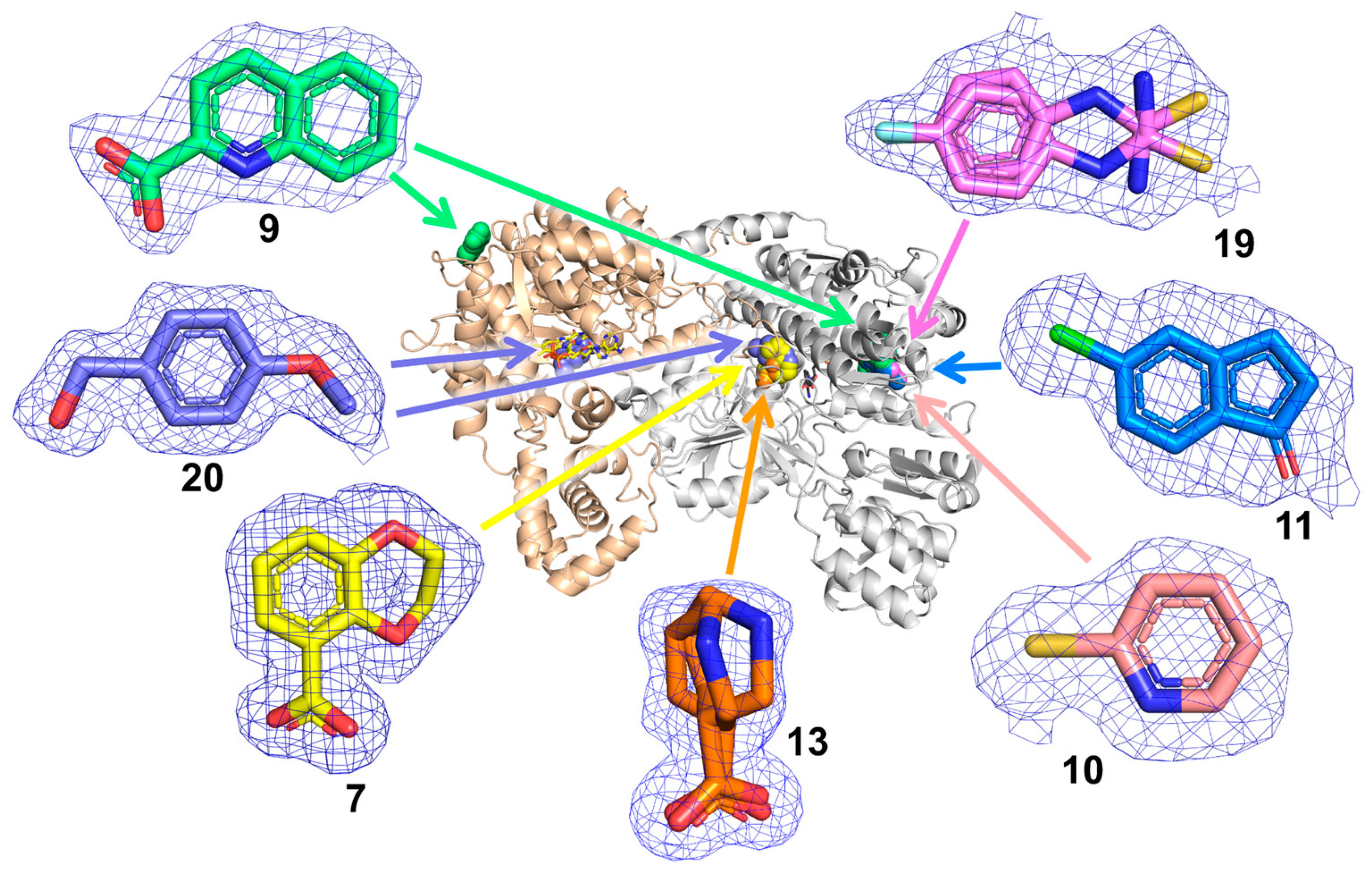 Molecules 29 05408 g003