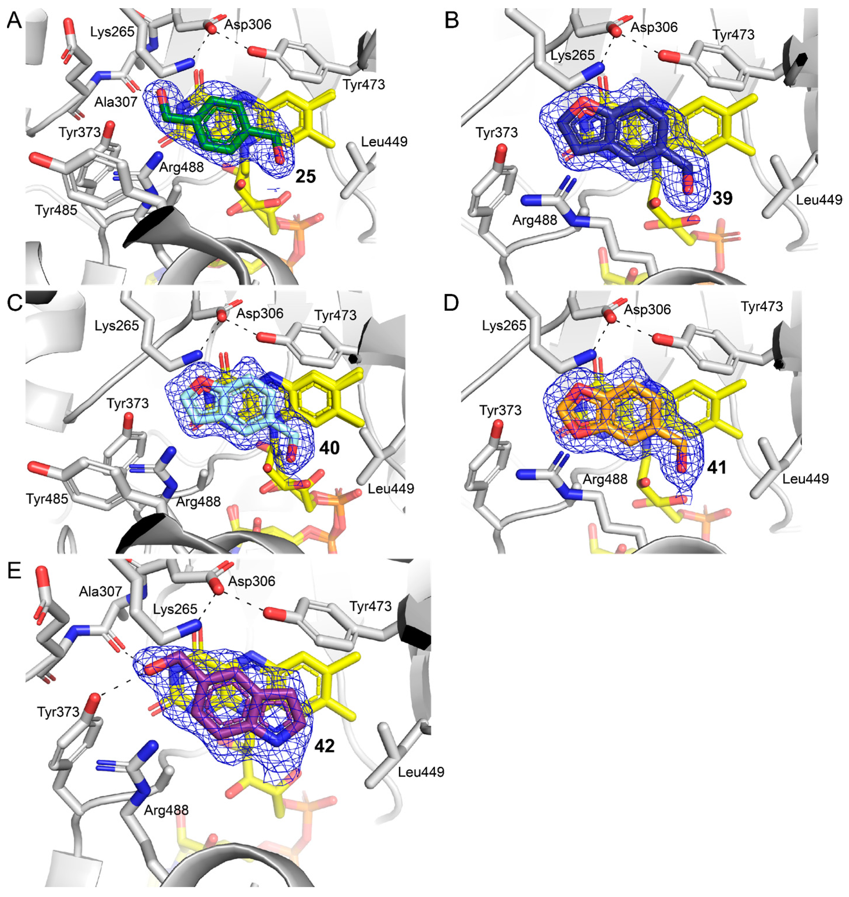 Molecules 29 05408 g009