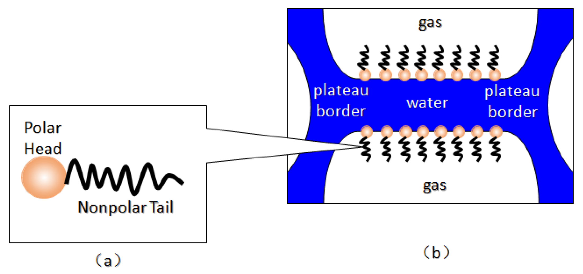 Molecules 29 05411 g006