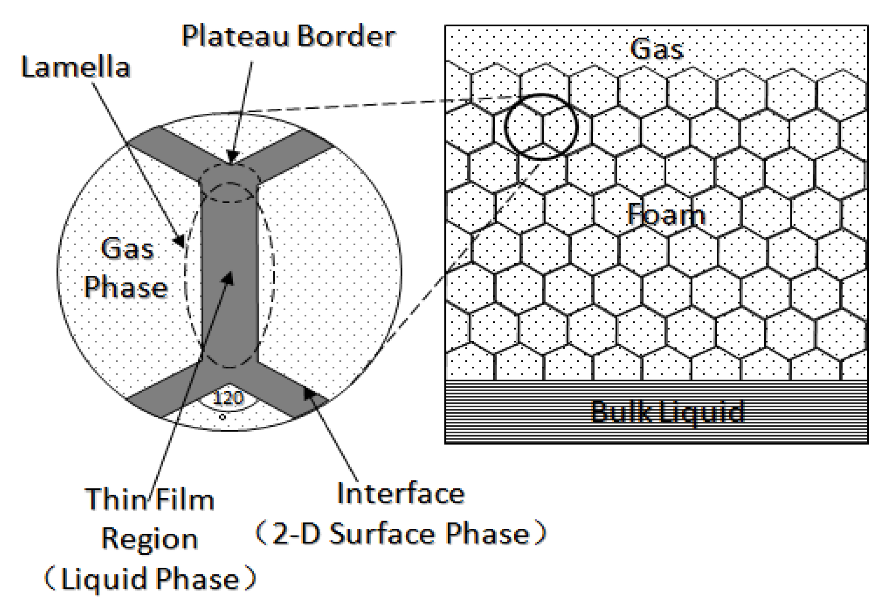 Molecules 29 05411 g007