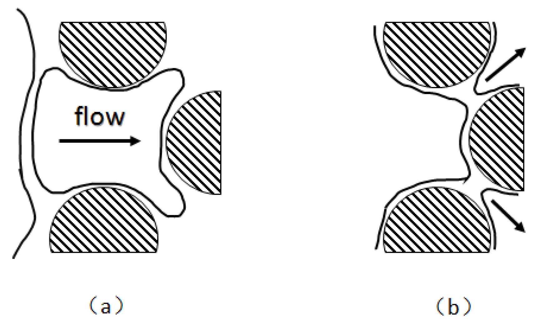 Molecules 29 05411 g010
