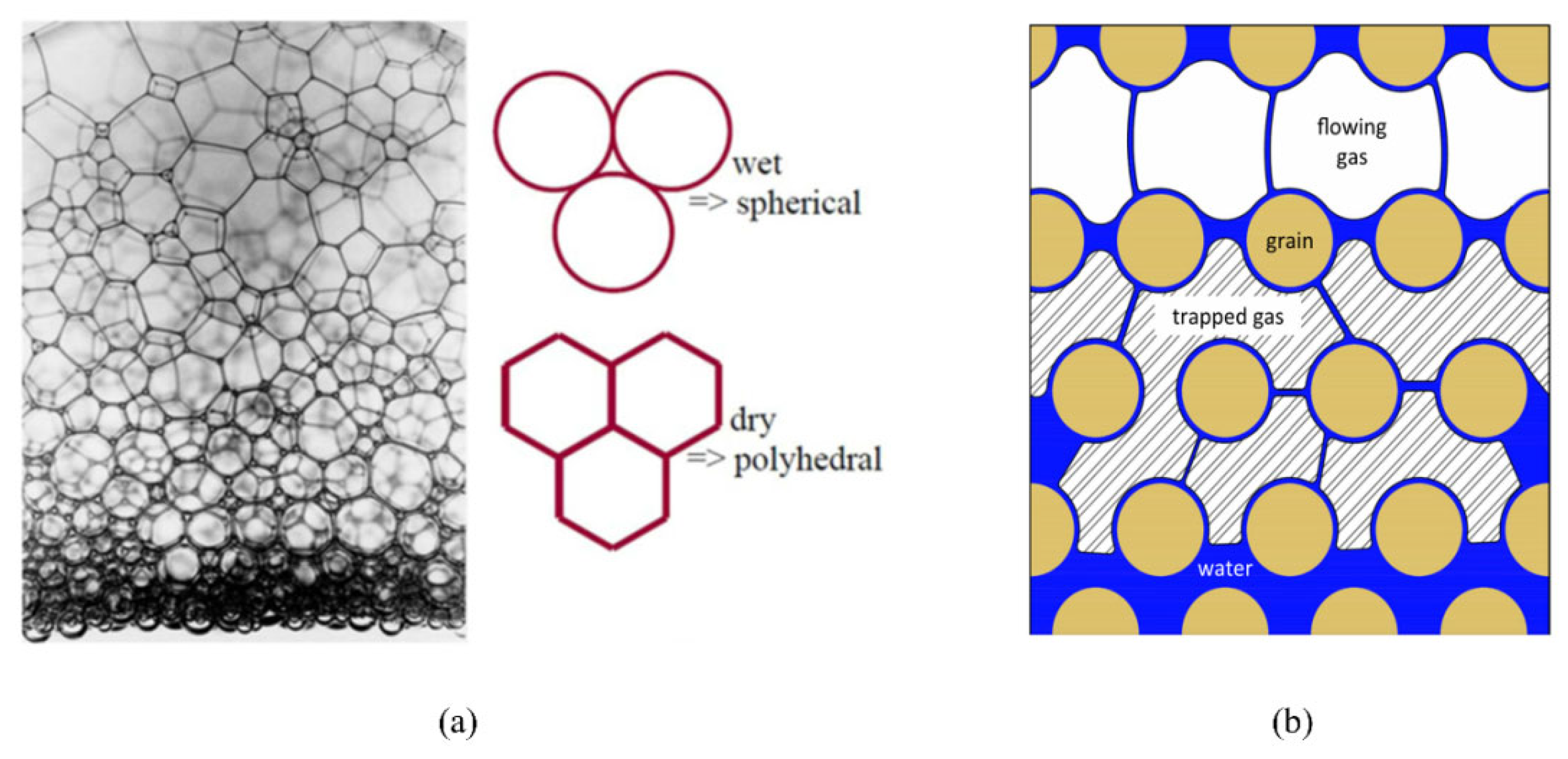 Molecules 29 05411 g014