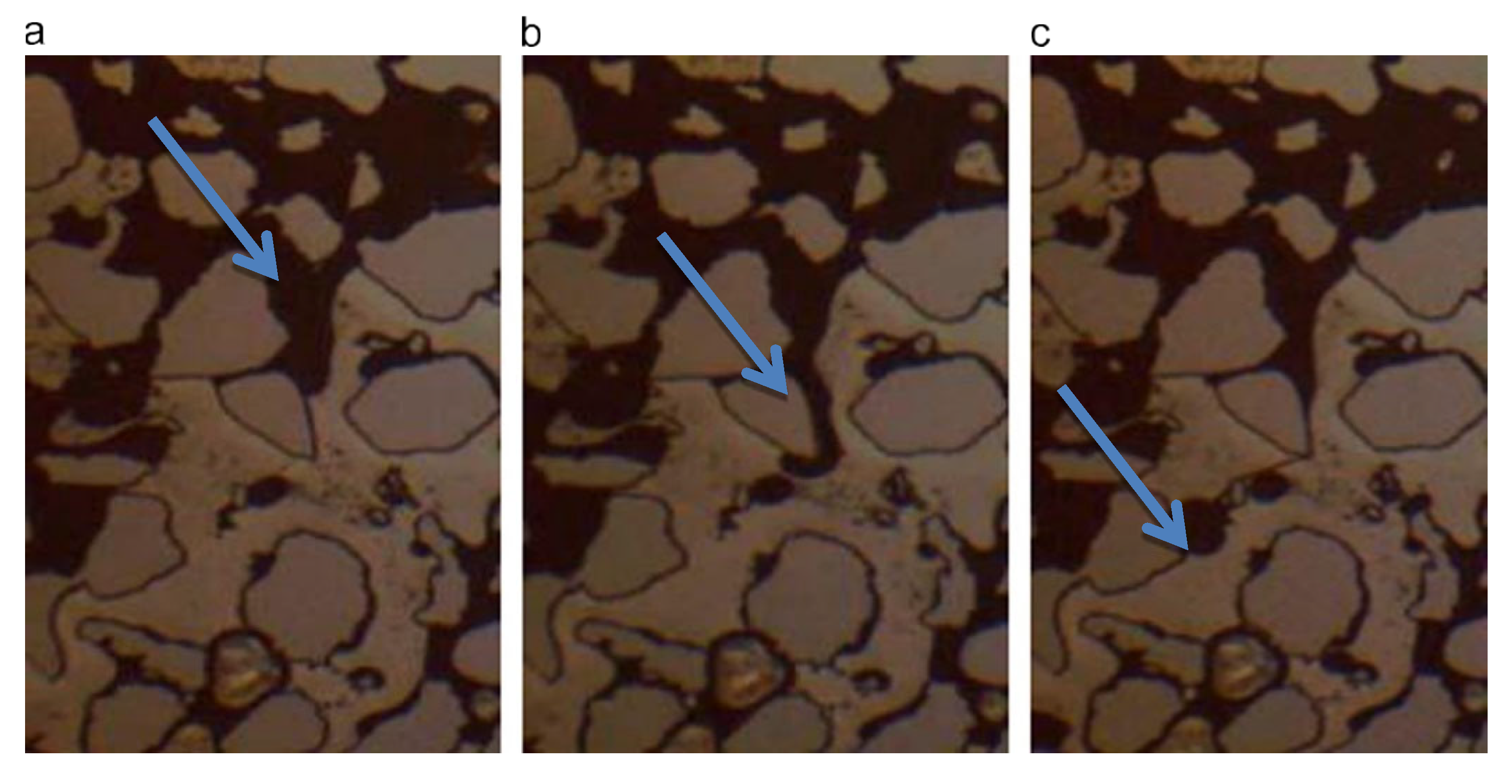 Molecules 29 05411 g017