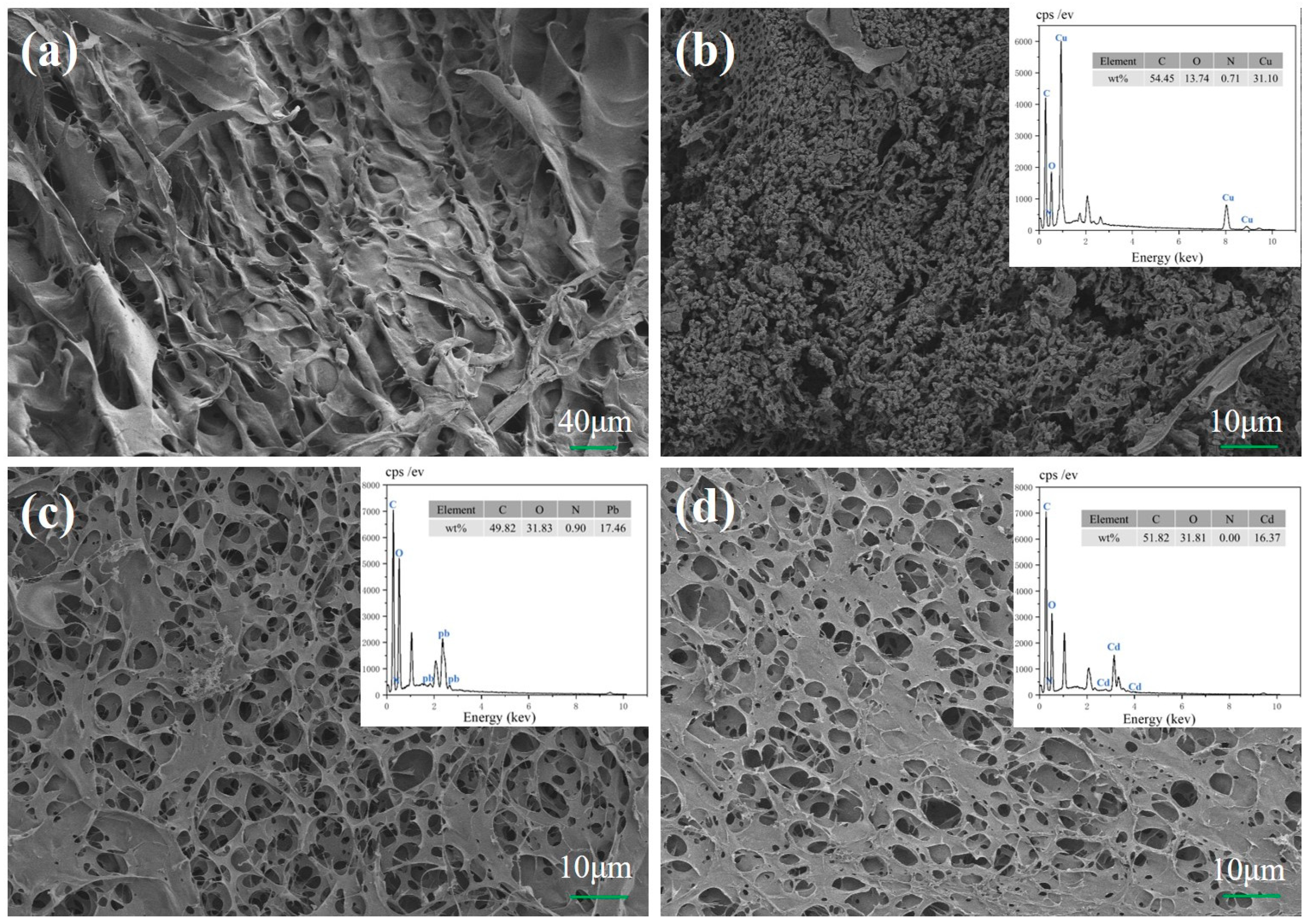 Molecules 29 05414 g004