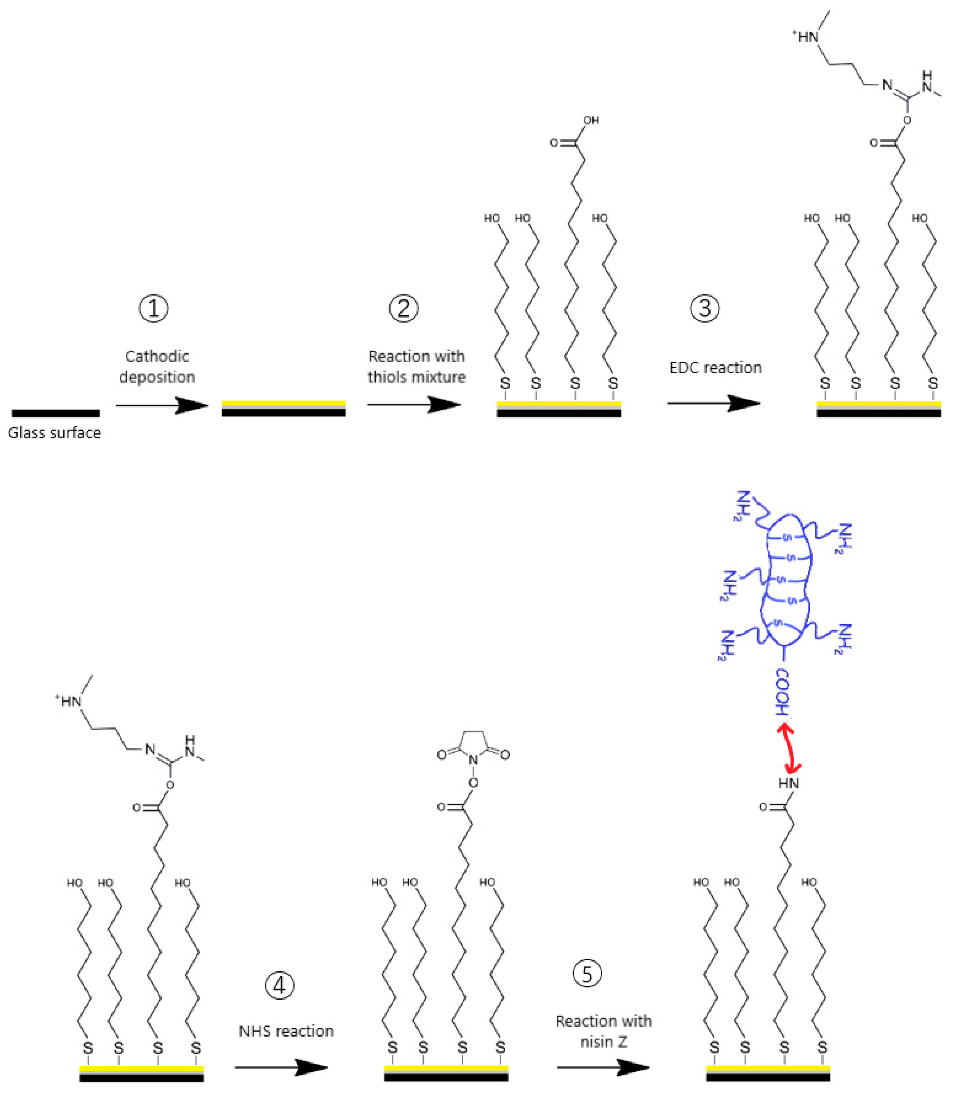 Molecules 29 05417 g001