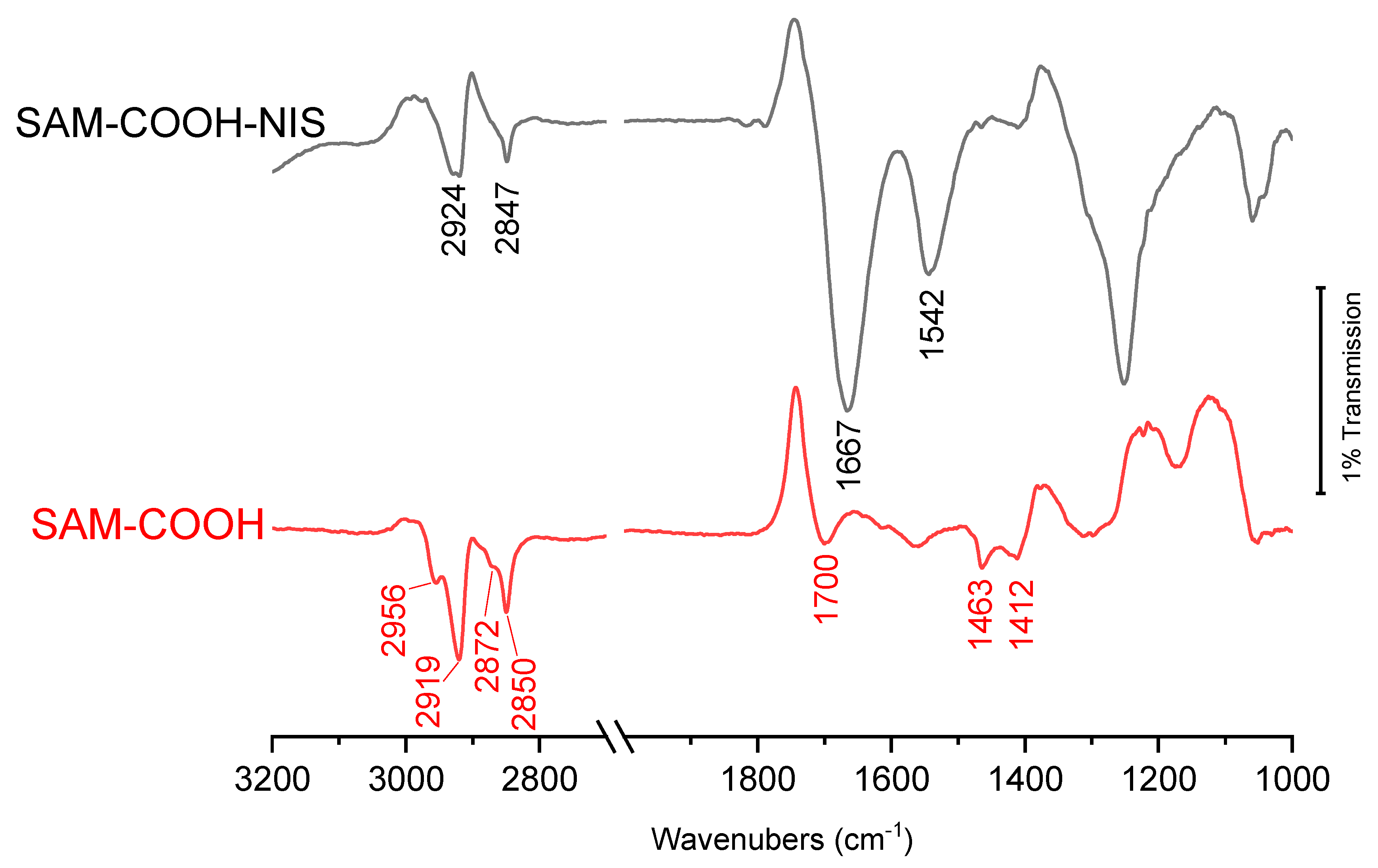Molecules 29 05417 g002