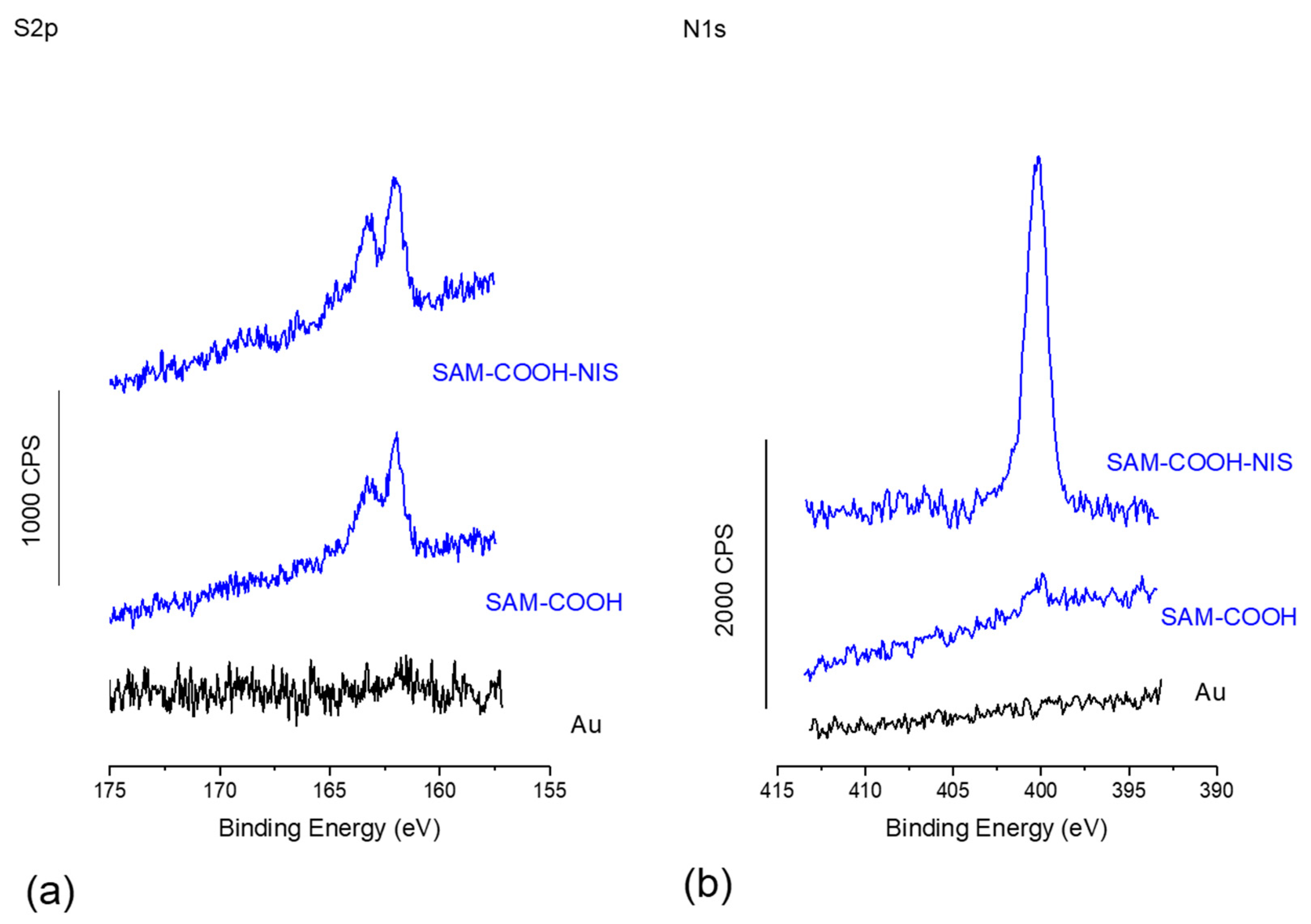 Molecules 29 05417 g003
