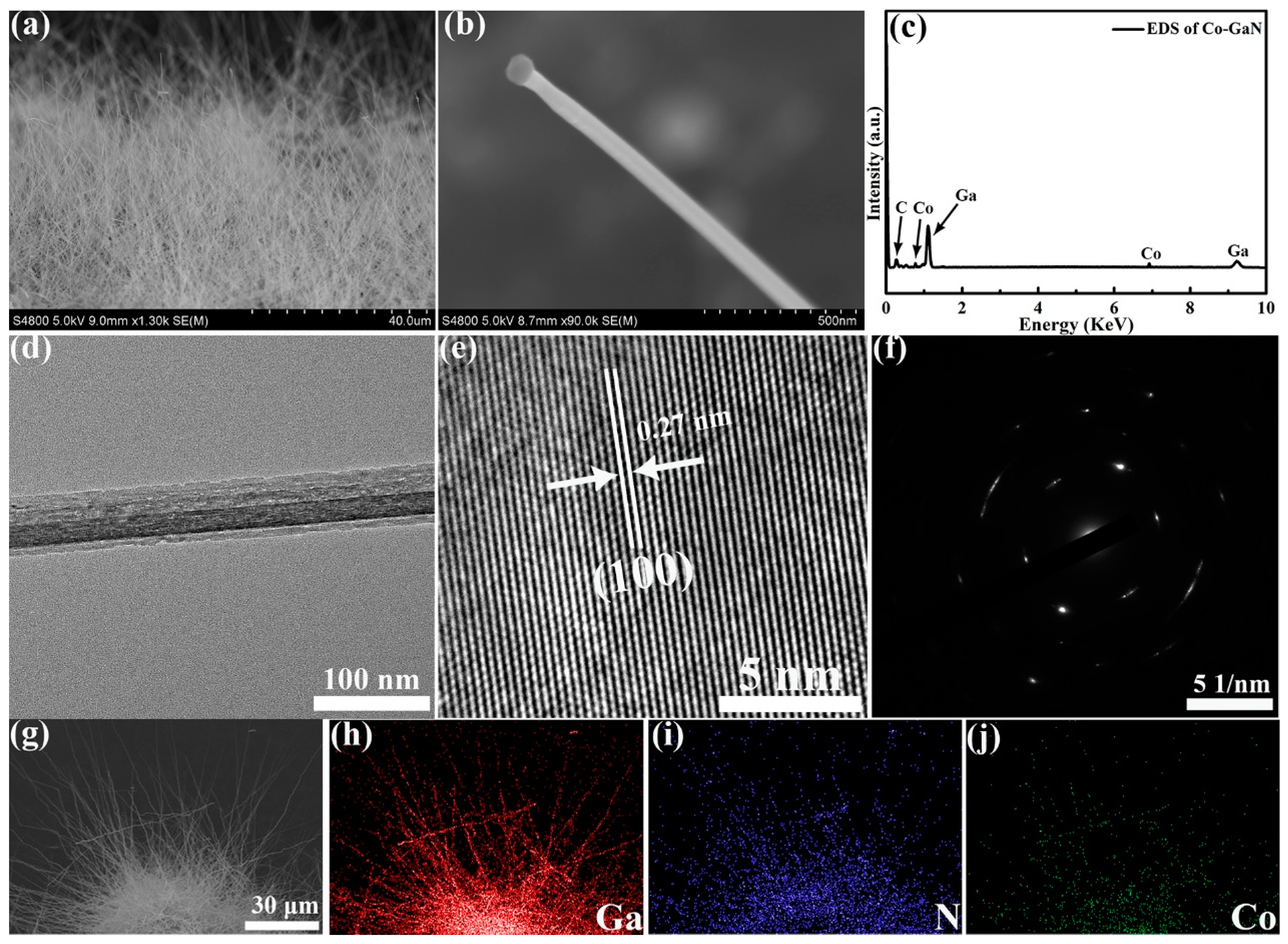 Molecules 29 05428 g001 Molecules 29 05428 g001