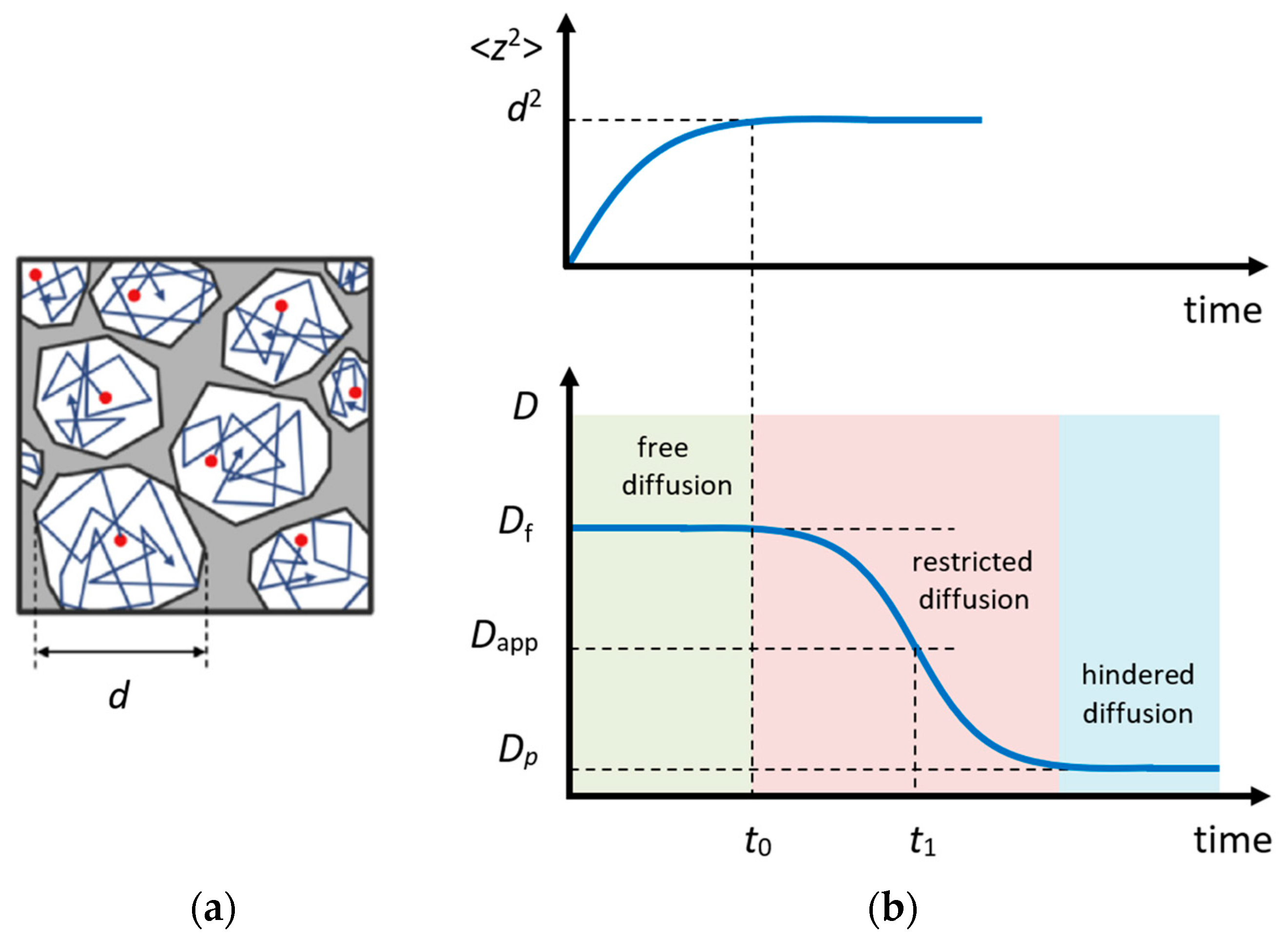 Molecules 29 05432 g007