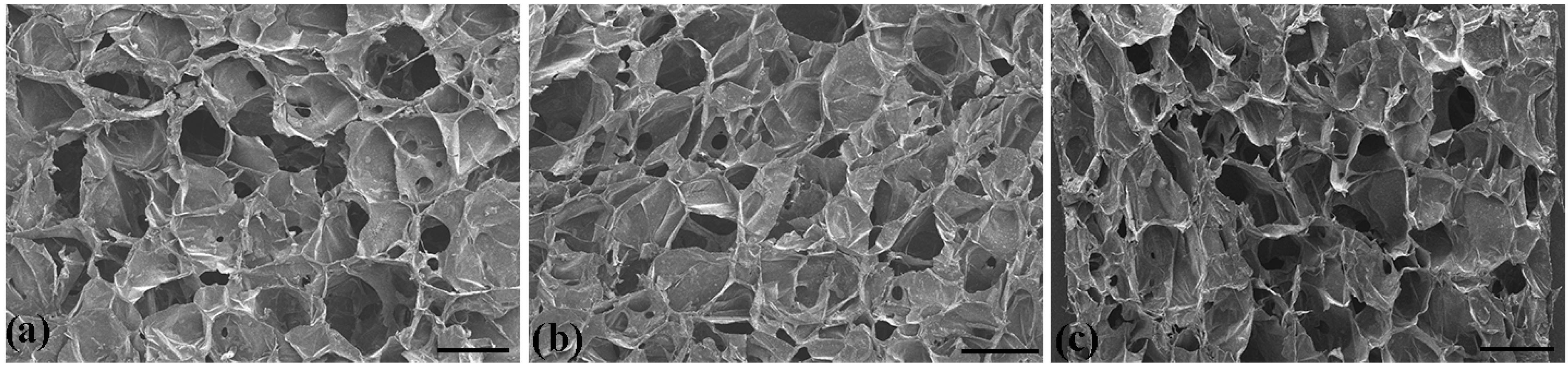 Molecules 29 05435 g003